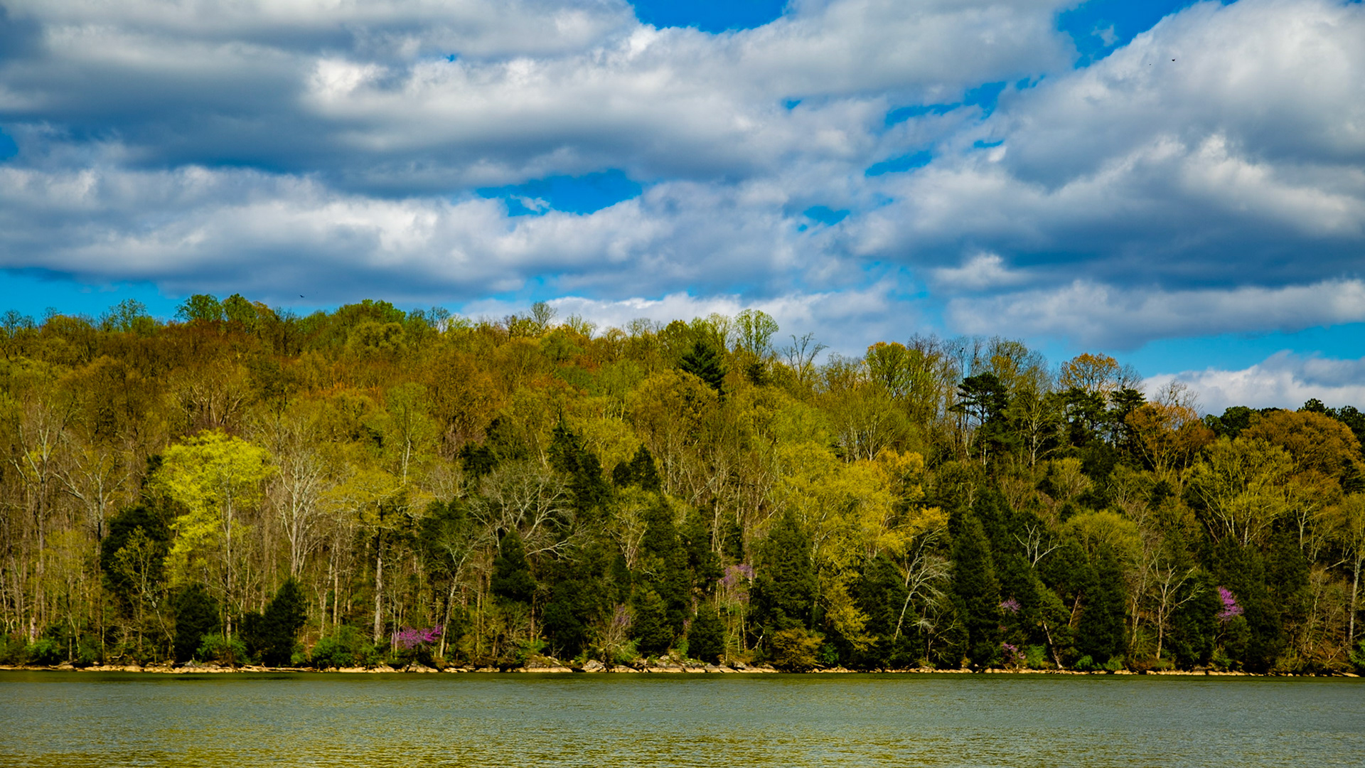 Spring at Melton HIll Park