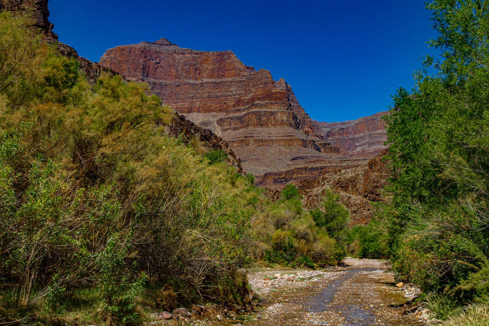 Diamond Creek Road to the Colorado River in The Grand Canyon, May 11, 2013 After the NAPFA Spring Conference in Las Vegas, I drove to Kingman for a night, followed by a trip into the Grand Canyon on the Hualapai Indian Reservation.  These images were taken along the Diamond Creek Road and at the Colorado River in the Grand Canyon