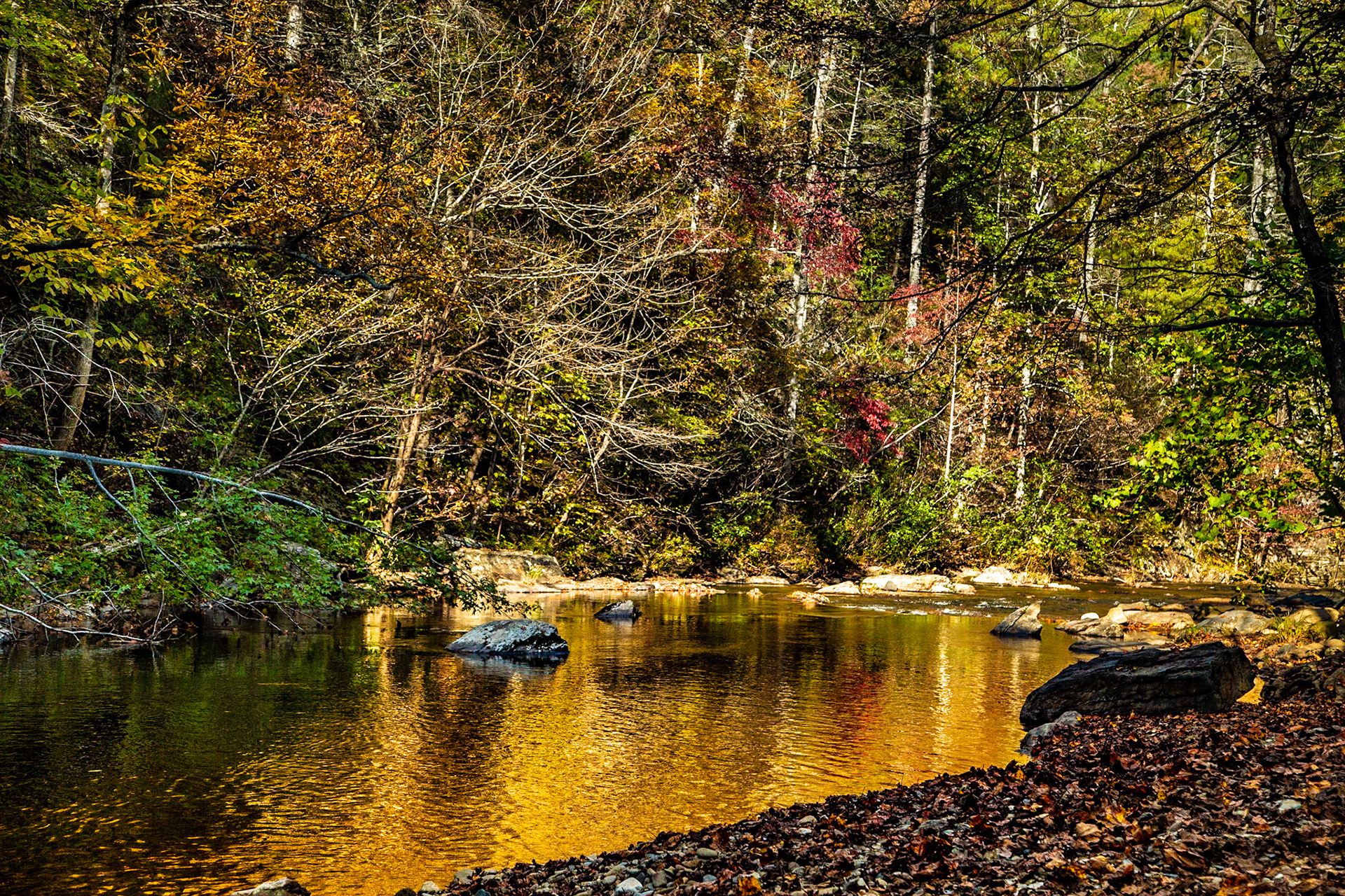 My son and I took a trip up Citico Creek that we have talked about for some time.  It turned out to be a great day for the adventure.