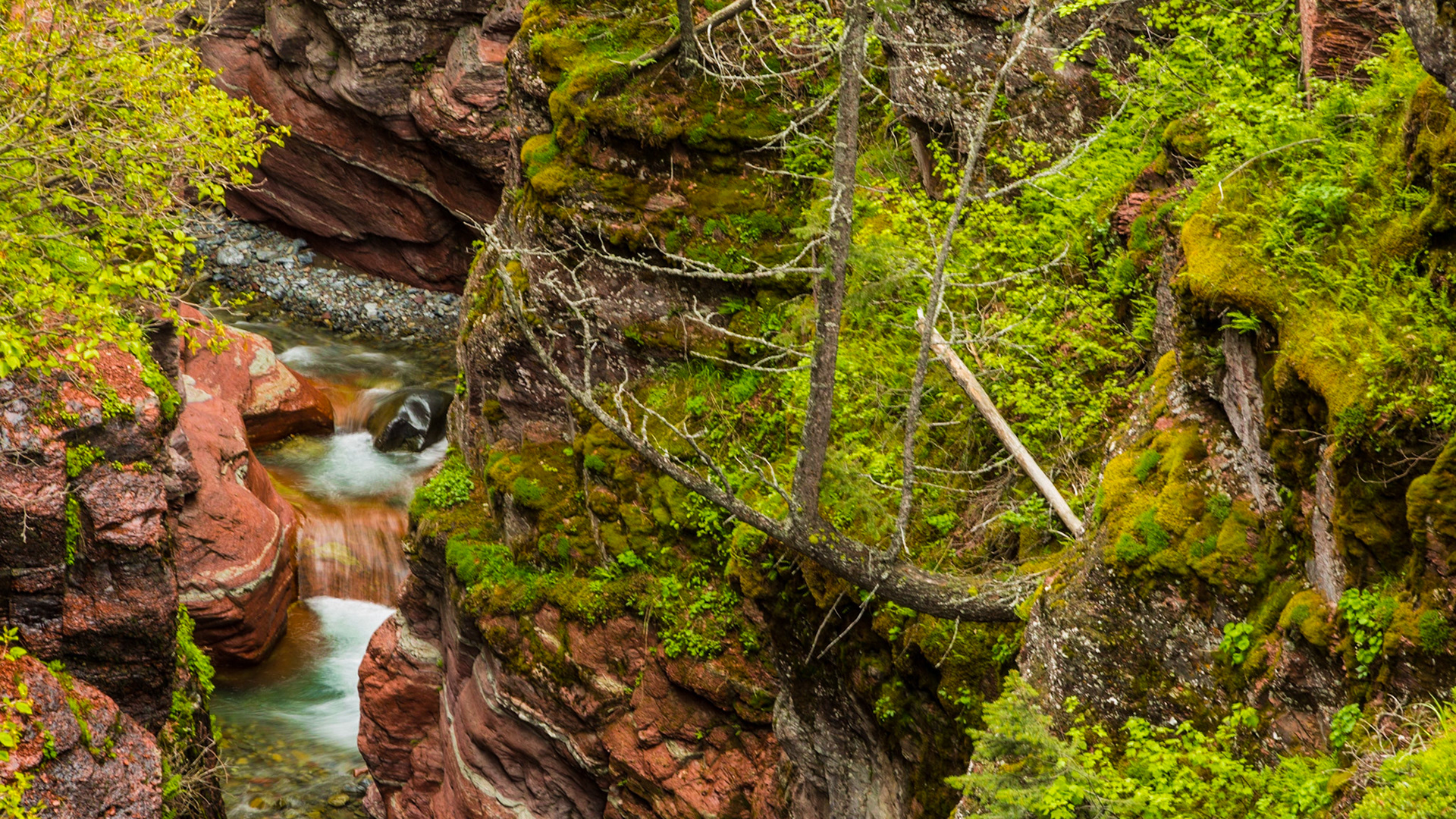When I saw the sign for Red Rock Canyon, I remembered places like Nevada’s Valley of Fire and Sedona, Arizona’s Red Rock State Park.  It turns out that the Waterton Park Red Rock Canyon is more like a single slot canyon.  The area is beautiful, with a loop trail around the interesting part of the canyon, with bridges at both ends. The image here is into the narrow part of the canyon. Sometime between leaving Cameron Lake (or around the time we were at Prince of Wales Hotel) the drizzly rain essentially stopped. Clouds were less dense when we were at Red Rock Canyon. It is interesting that many people throughout the trip reacted with concerns that rain they heard about had harmed our Waterton experience. Except for a few occasions, we had hardly changed what we were doing because of the rain. Our pictures just captured what we experienced, including the textured cloudy skies. I didn’t detect that the rain weakened our experience. All the while, our conversation carried on.