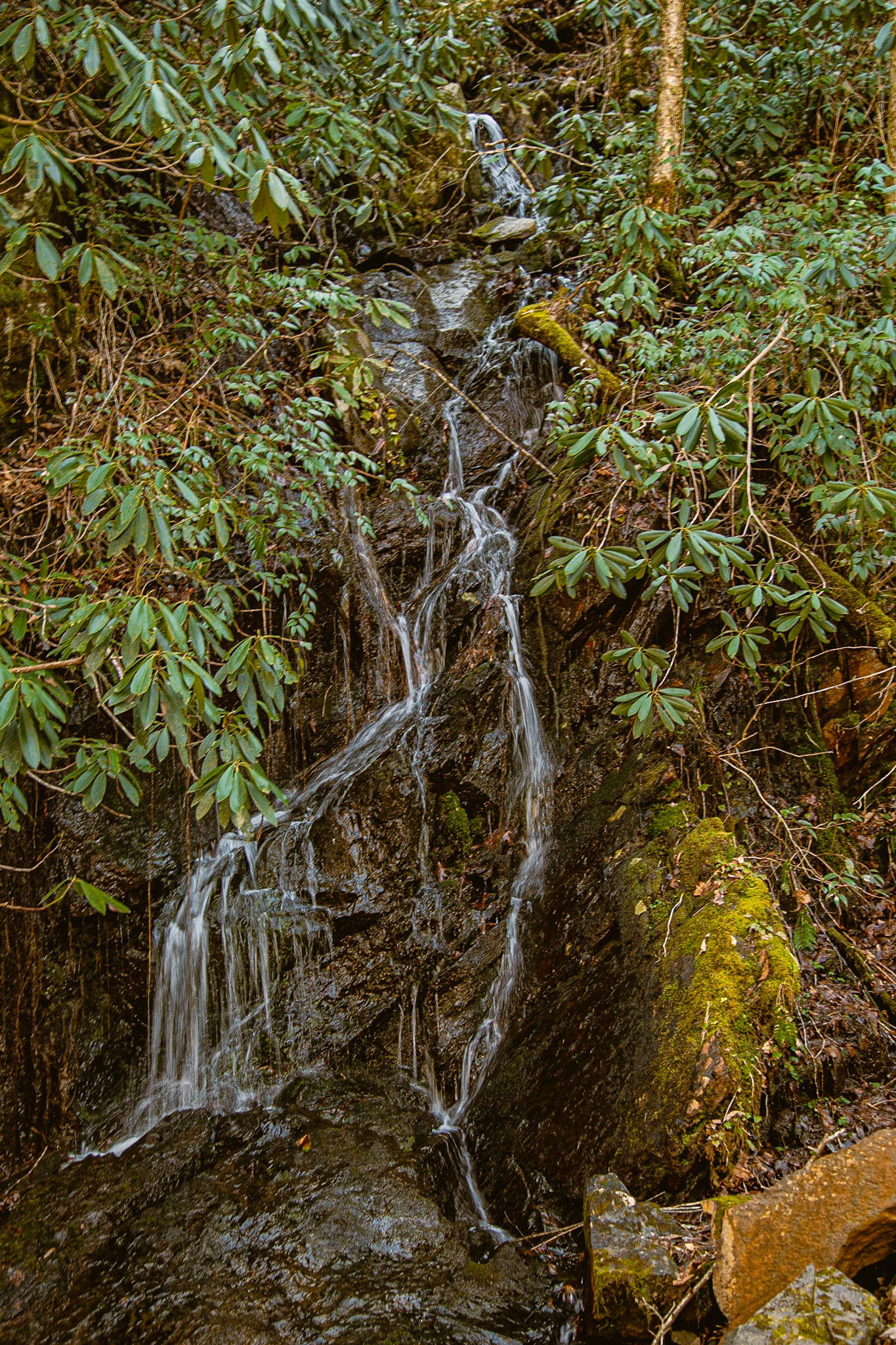 Rain Reveals Streams on Tremont Road