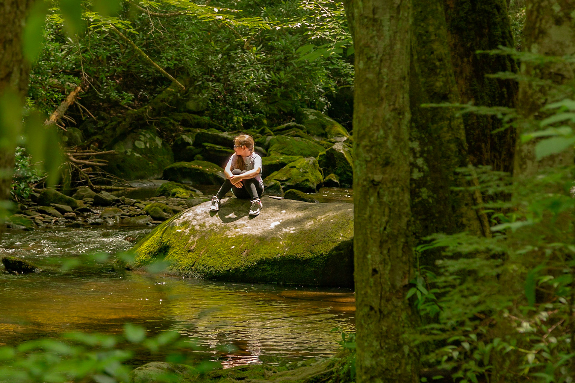 Lynn Camp Prong Cascades