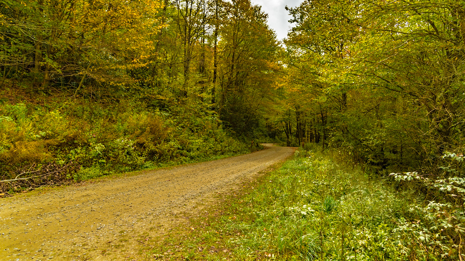 Stratton Gap,New River Rd, at Cherohala Skyway