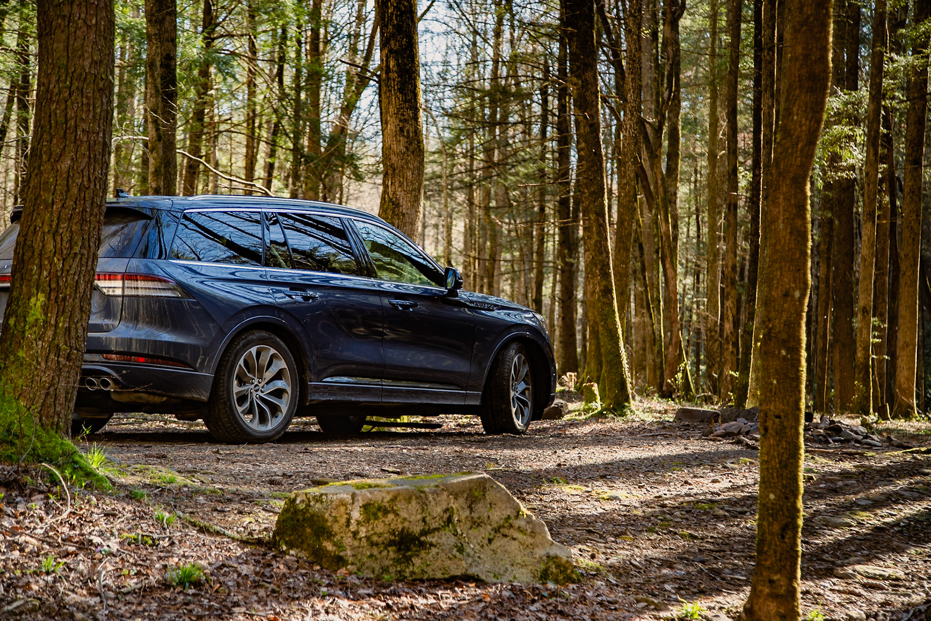 Doublecamp Creek Road, Citico Wilderness Area, Cherokee National Forest