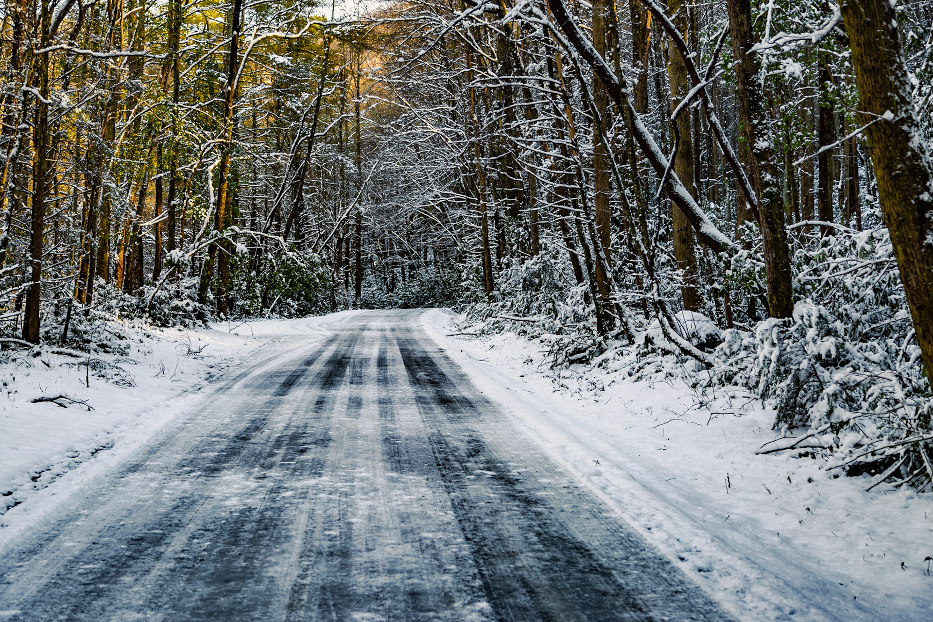 River Road by Tellico River