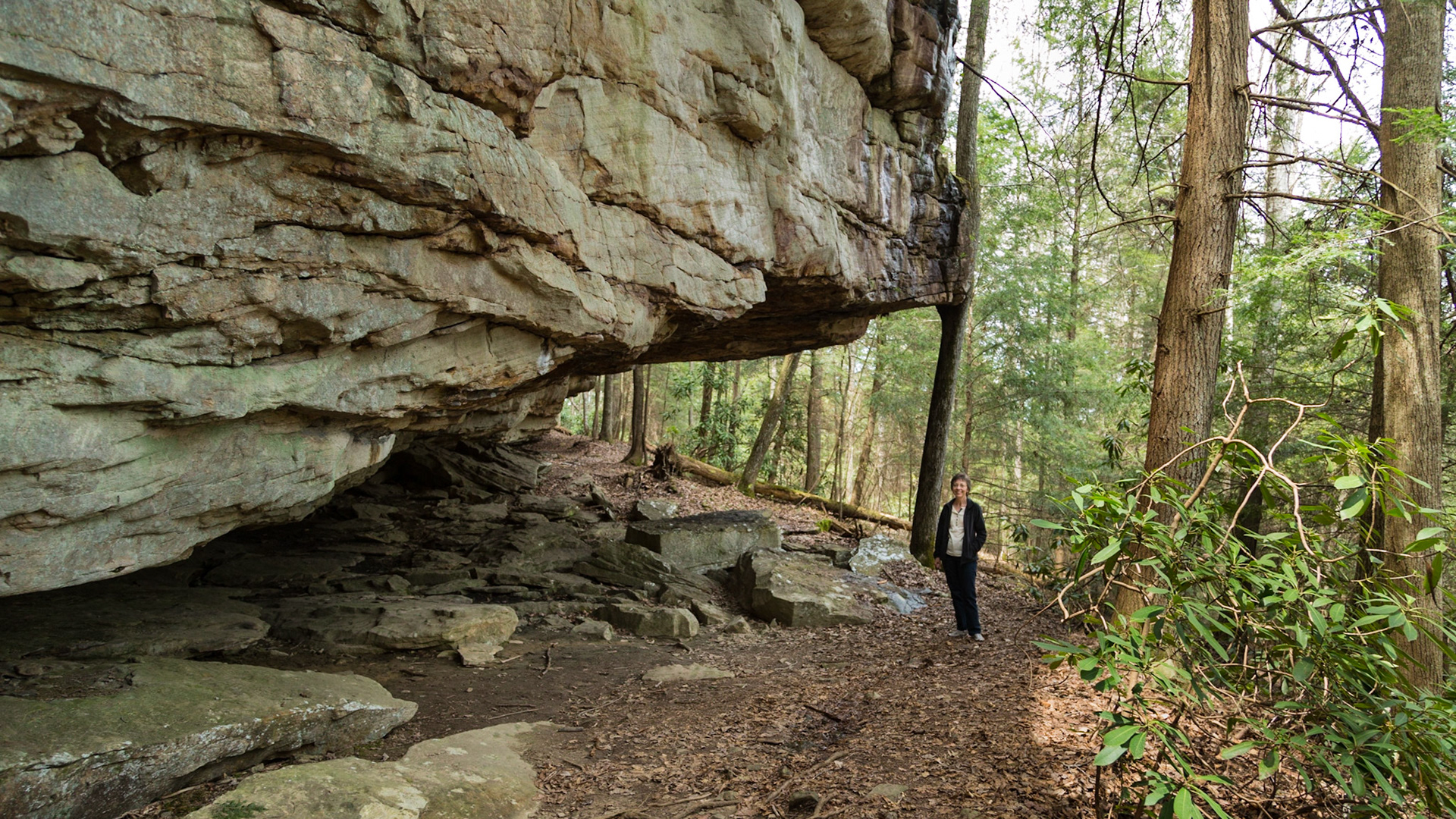 Christie and I went on a scouting mission to the Obed Wild and Scenic River. We hope Trever, Grace and Raven will be able to return there with us this summer.