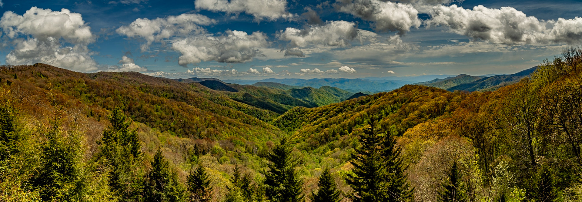 Deep Creek Overlook, May 8, 2023