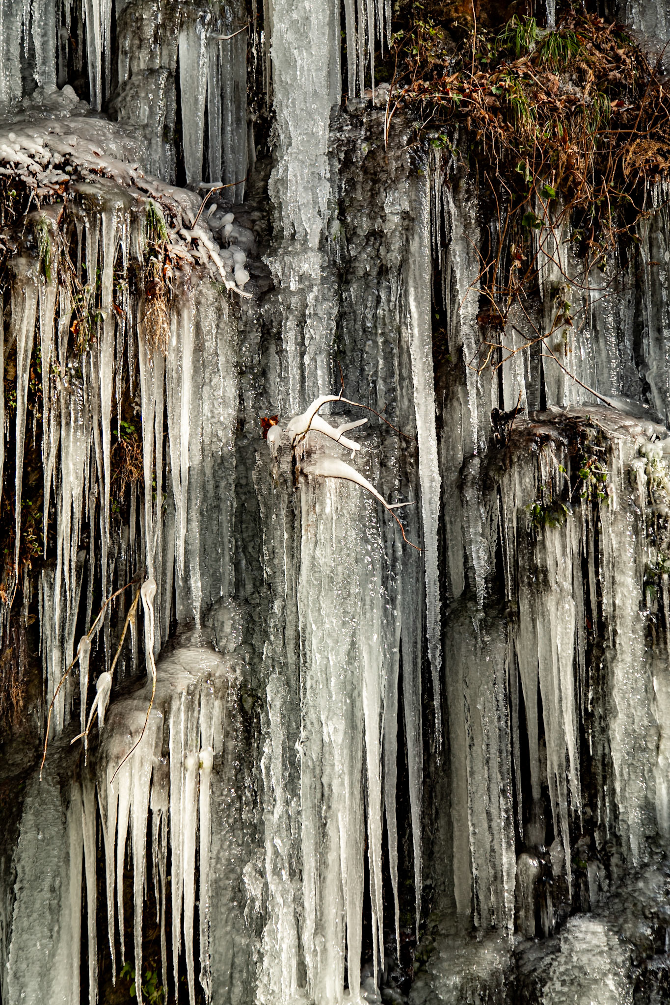 Ice at Bote Mountain Tunnel, Laurel Creek Rd, Great Smoky Mountains National Park, January 23, 2025