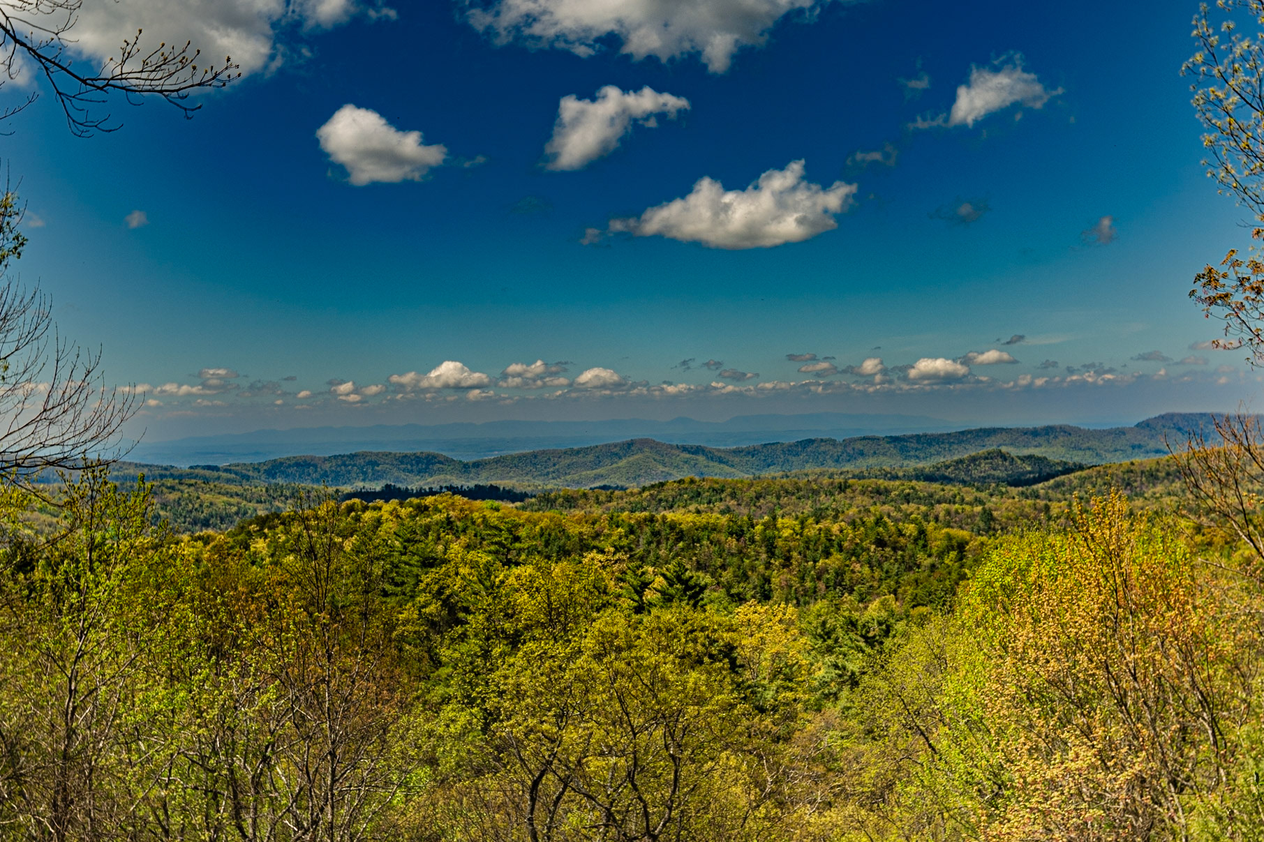 View from Rich Mountain Road, April 15, 2023