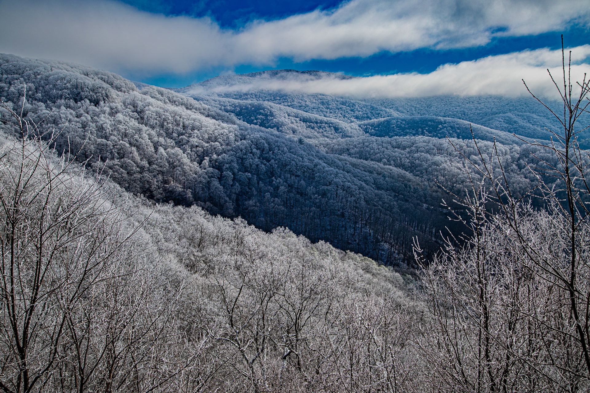 Cherokee National Forest, Cherohala Skyway,  Brushy Mountain Overlook, January 7, 2025