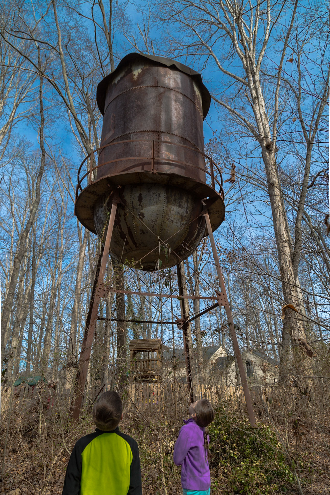 This morning Trever, Grace and I walked about two miles on the trails along Fort Loudon Lake, between Carl Cowan and Admiral Farragut Parks.