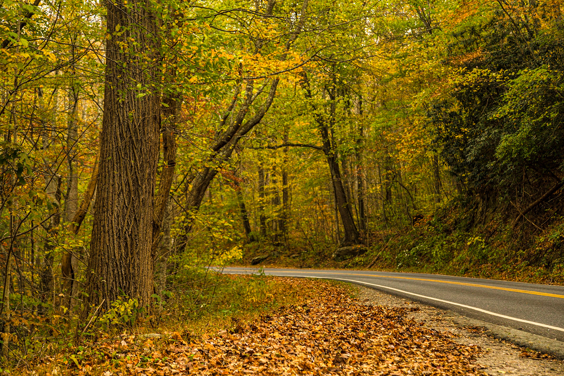 Returning home from NAPFA Fall Conference in Charlotte, NC