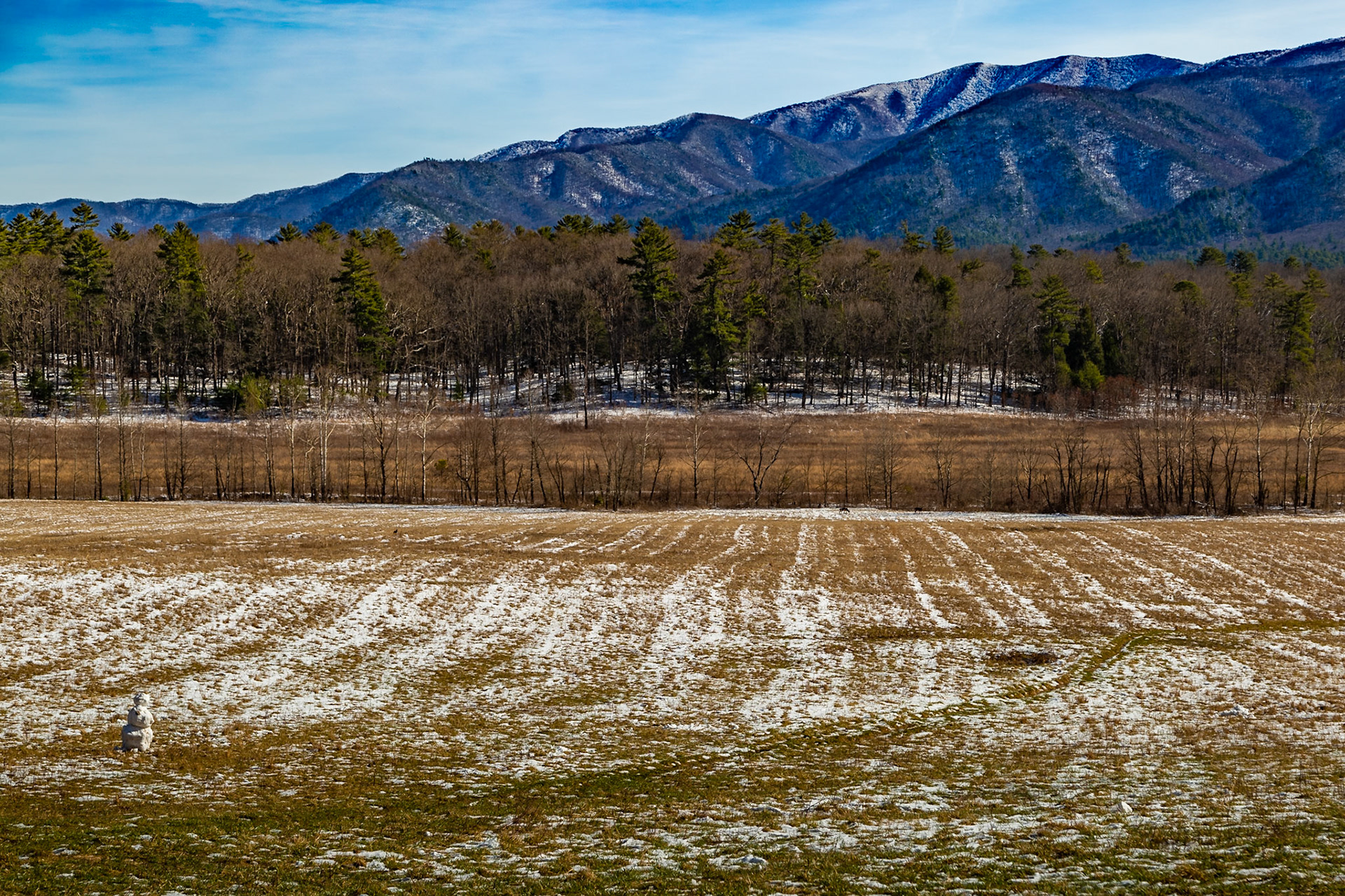 Snowman and Mountains, Cades Cove, January 15, 2023