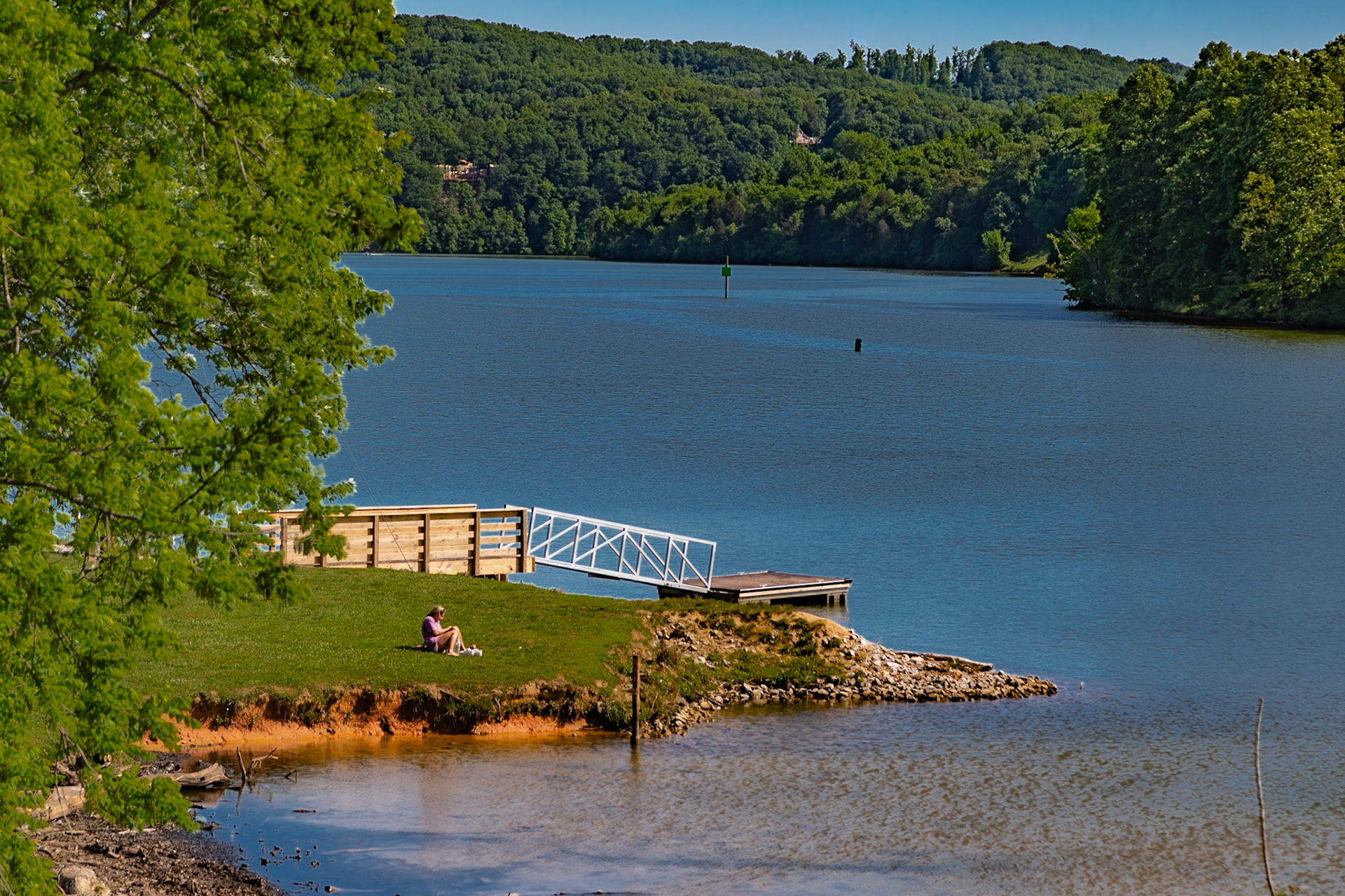 Today at Melton Hill Park – When I am in this park, I often remember that my grandfather harvested logs from his farm, assembled them into rafts and floated them from near the Virginia state line to Chattanooga. The annual Clinch River trips were before the 1930s and TVA lakes. He rounded Williams Bend here. Today the wildflowers were beautiful. My walk was a solum time for other reasons.