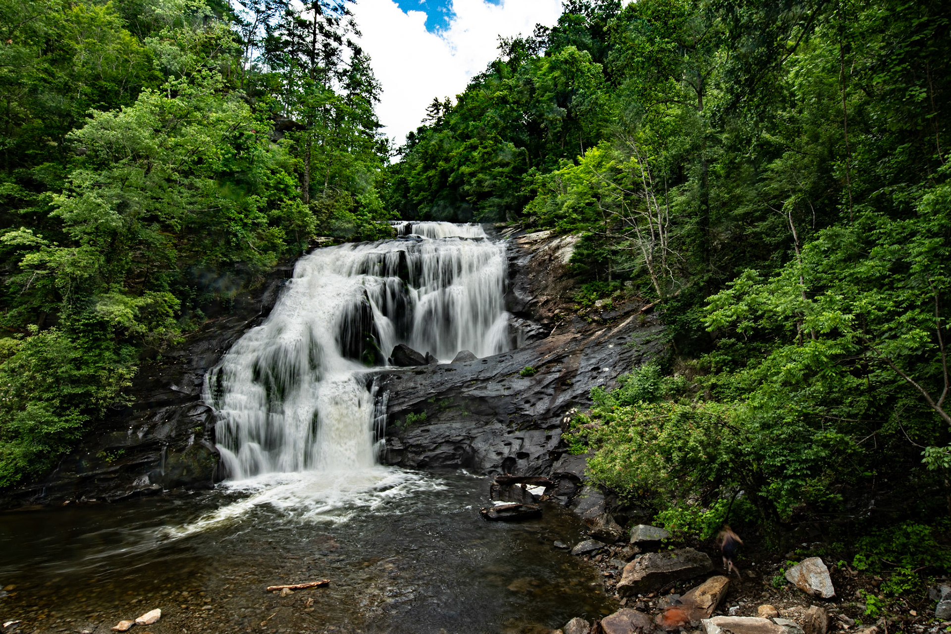 Mountain Laural on Middle Prong Trail, Great Smoky Mountains National Park, with Christie, June 17, 2025