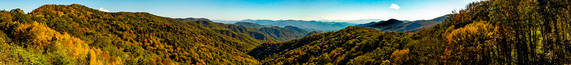 Deep Creek Overlook, Great Smoky Mountains National Park