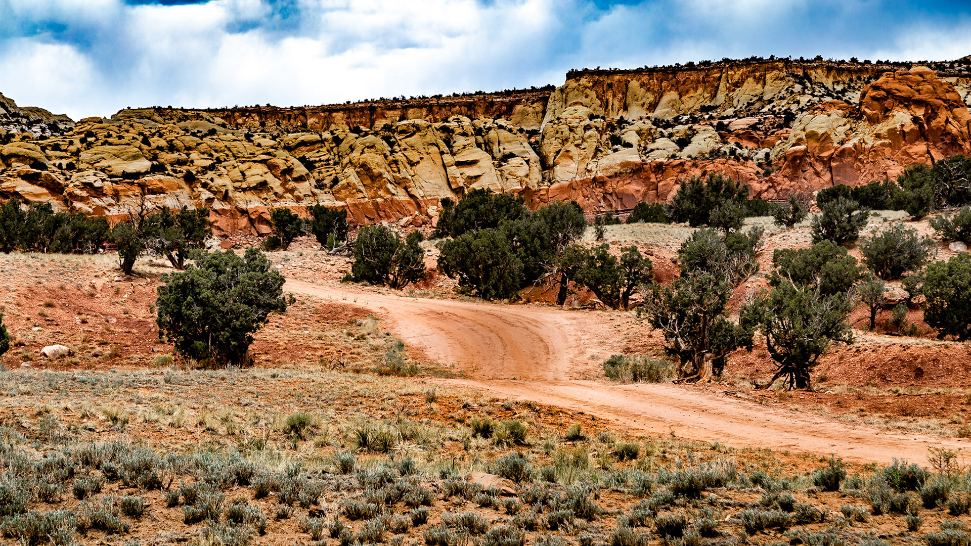 Ranch Road at Ojitos de los Gatos, Northwest of Abiquiu, New Mexico