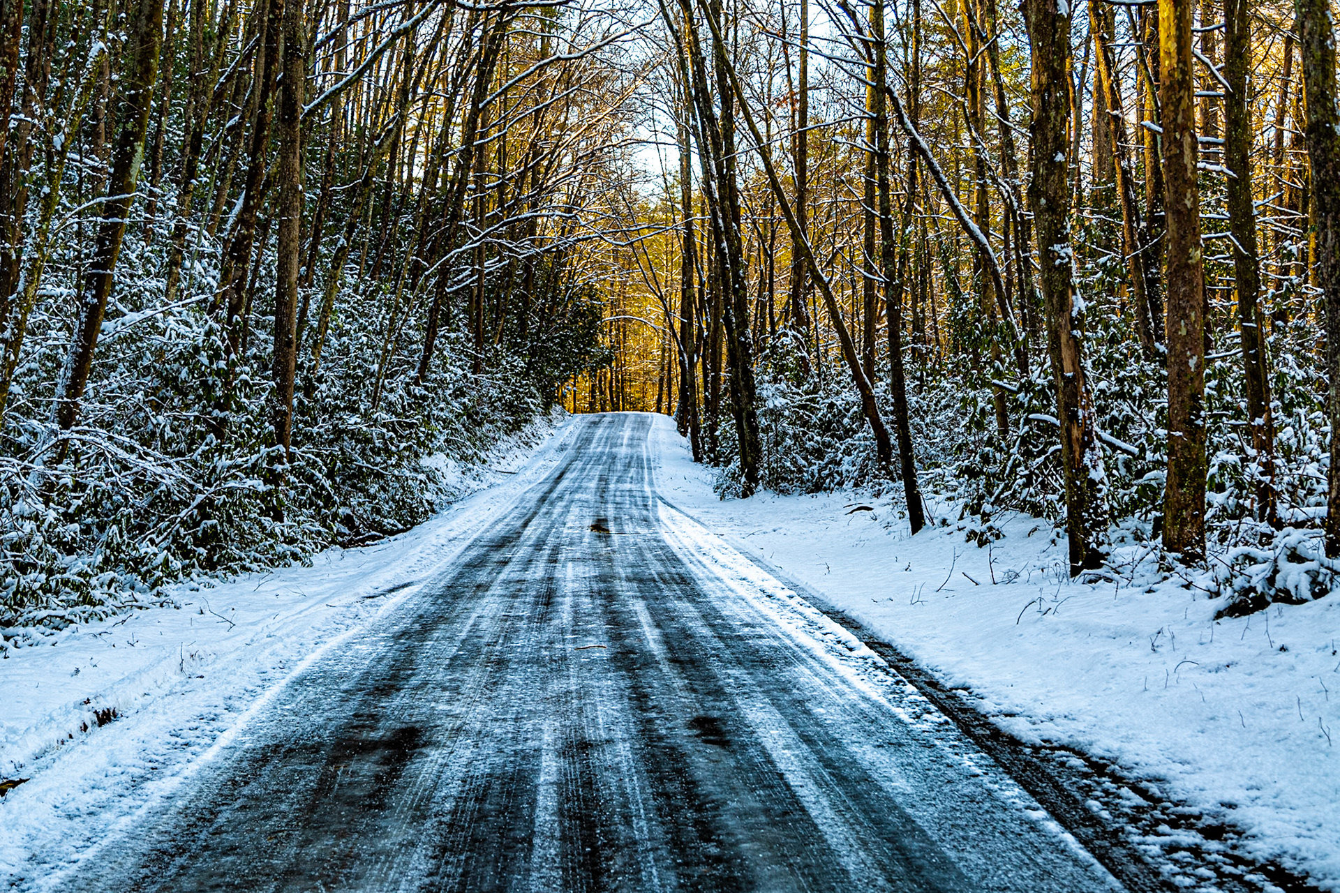 River Road by Tellico River