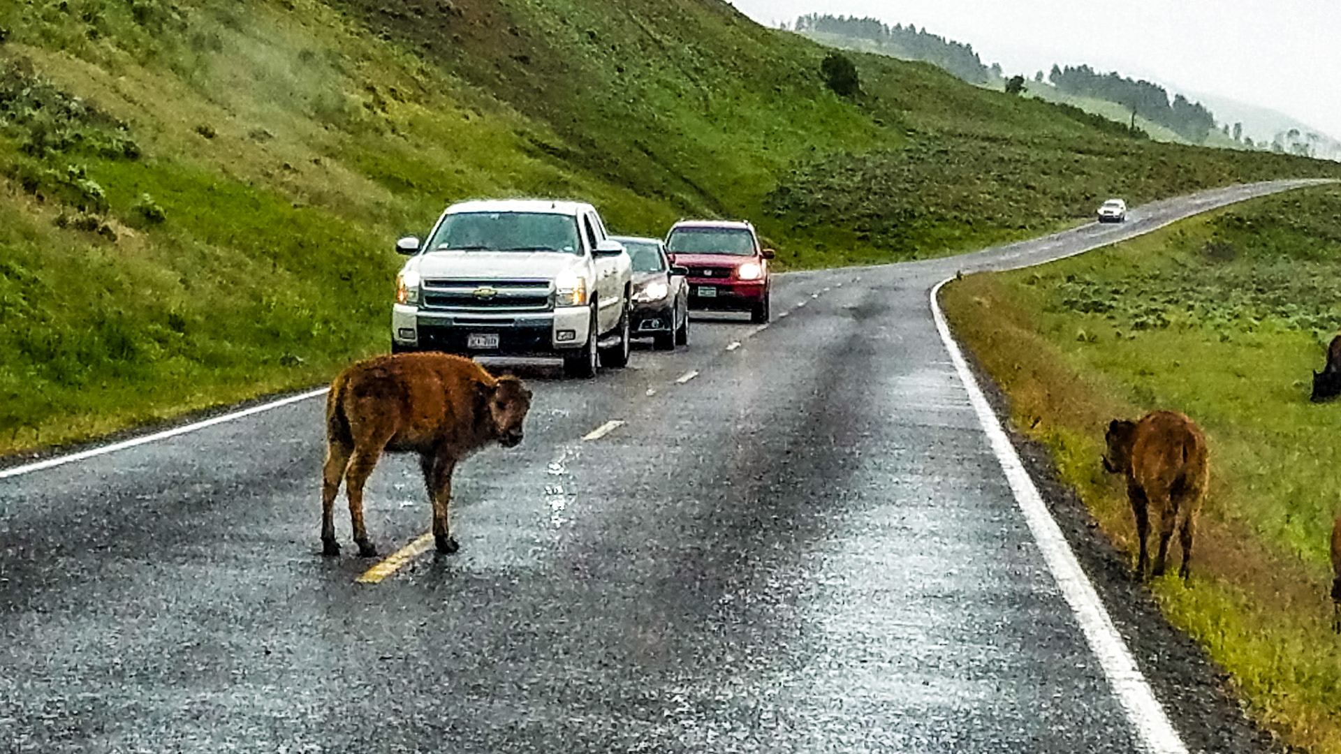 North East Entrance Rd, Yellowstone National Park
