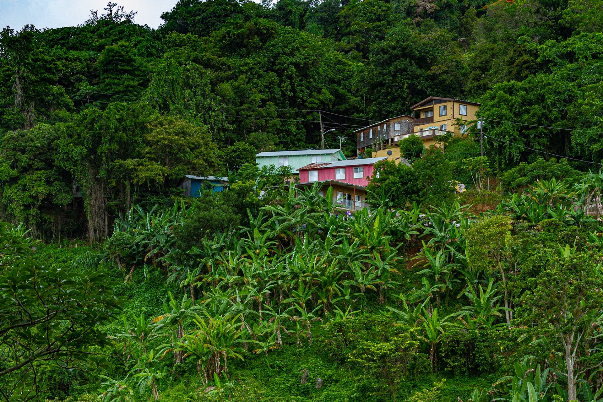 Mountains of Puerto Rico, Northwest of Ponce, June 15, 2013