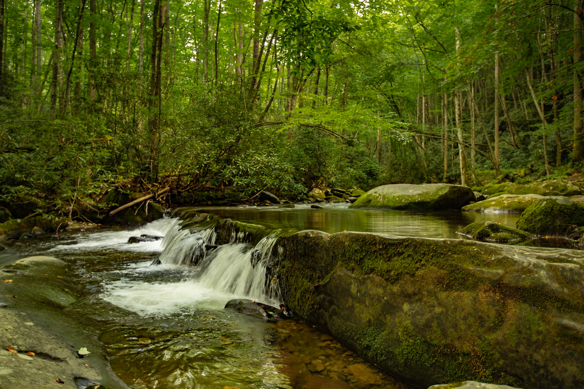The Knoxville Tennessee airport has a water feature to greet visitor and those of us that call this area home. I wonder how many know that water feature must have been inspired by literally thousands of scenes similar to this in the Great Smoky Mountains National Park and Cherokee National Forest. August 18, 2022 was a great day to be in our Park.