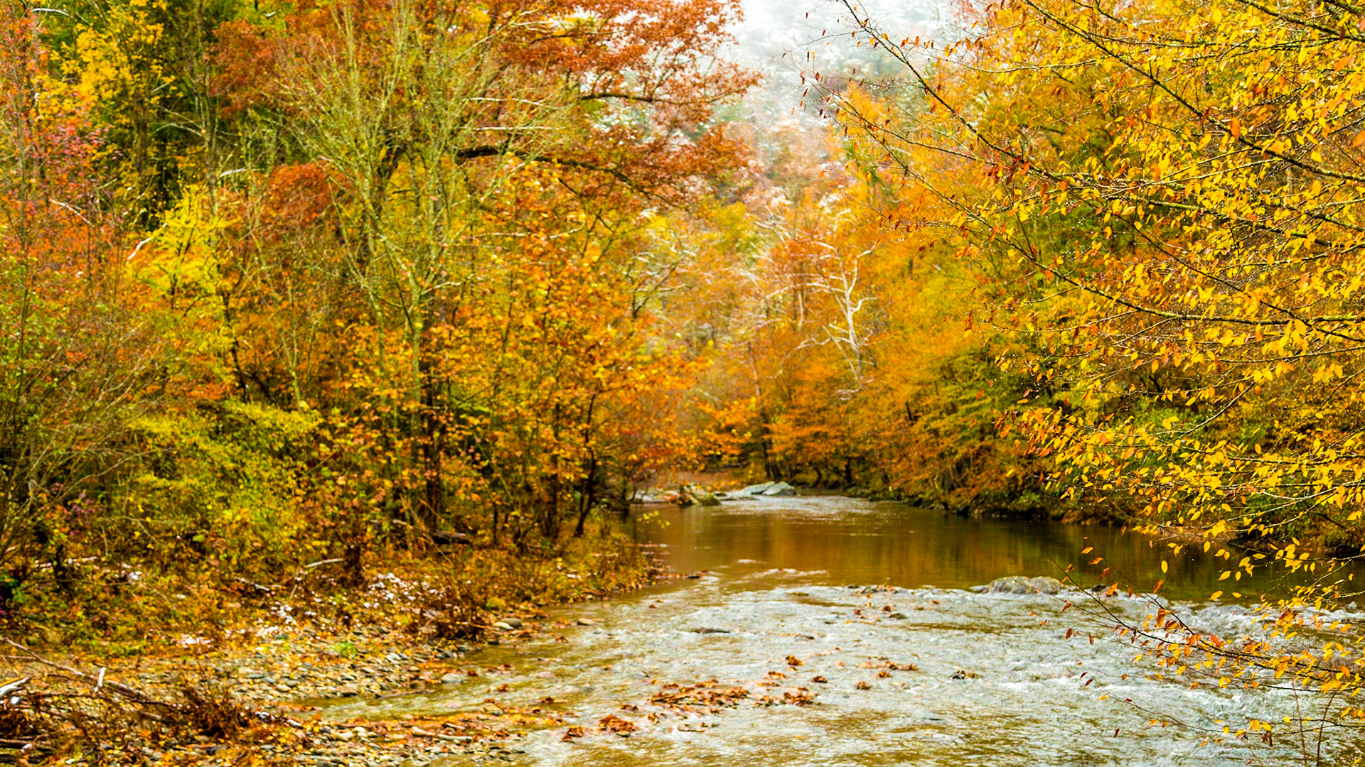 It was the day after Halloween, with considerable snow above 2,500 feet elevation.  Mt. LeConte had 22 inches.  All the Smoky Mountains National Park roads were closed.  We went to Townsend anyway.  The fall color was great.  At Cades Cove Road, it was time to walk for a bit.  Before leaving the area, we took a side trip to Wears Valley Methodist.