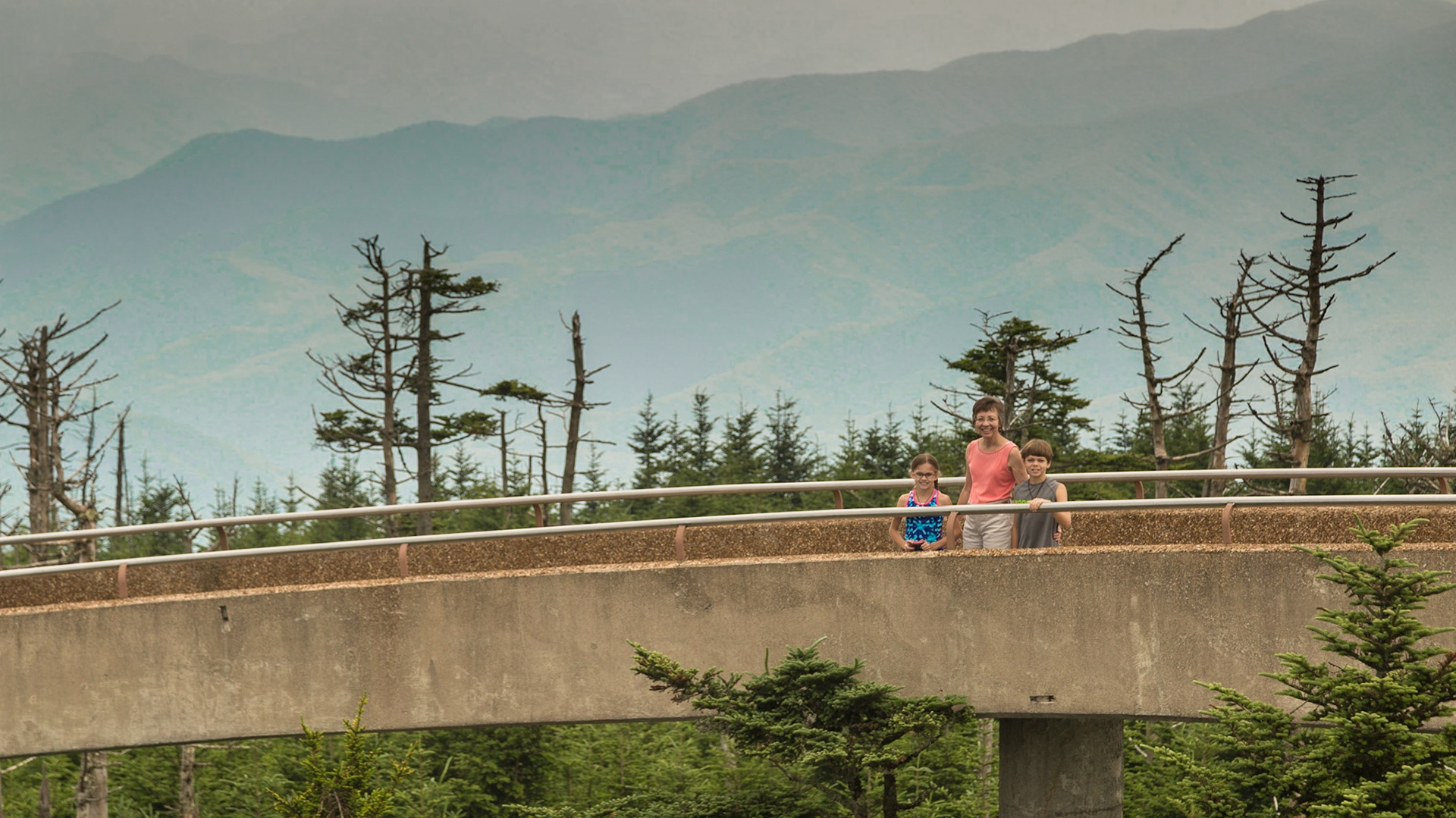 Christie and I picked up Trever and Grace for a weekend with us, on the moring of July 11. From there we took I-26 and I-40 to Waynesville, NC, where we ate.  Then it was Maggie Valley, Blue Ridge Parkway and Great Smokey Mountain National Park .  In the park we stopped at overlooks, Clingmans Dome and The Sinks.  Dinner was in Townsend.