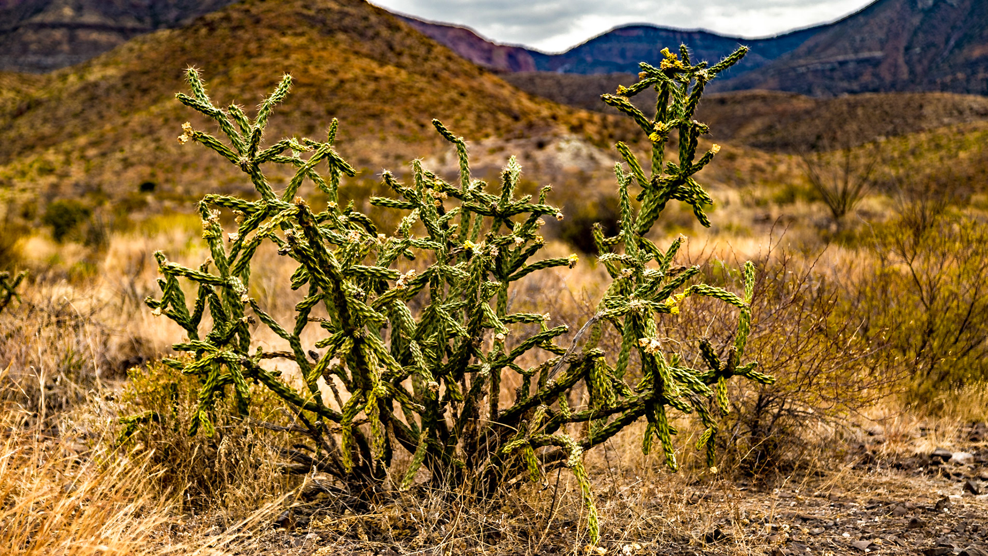 Blue Creek Canyon Overlook