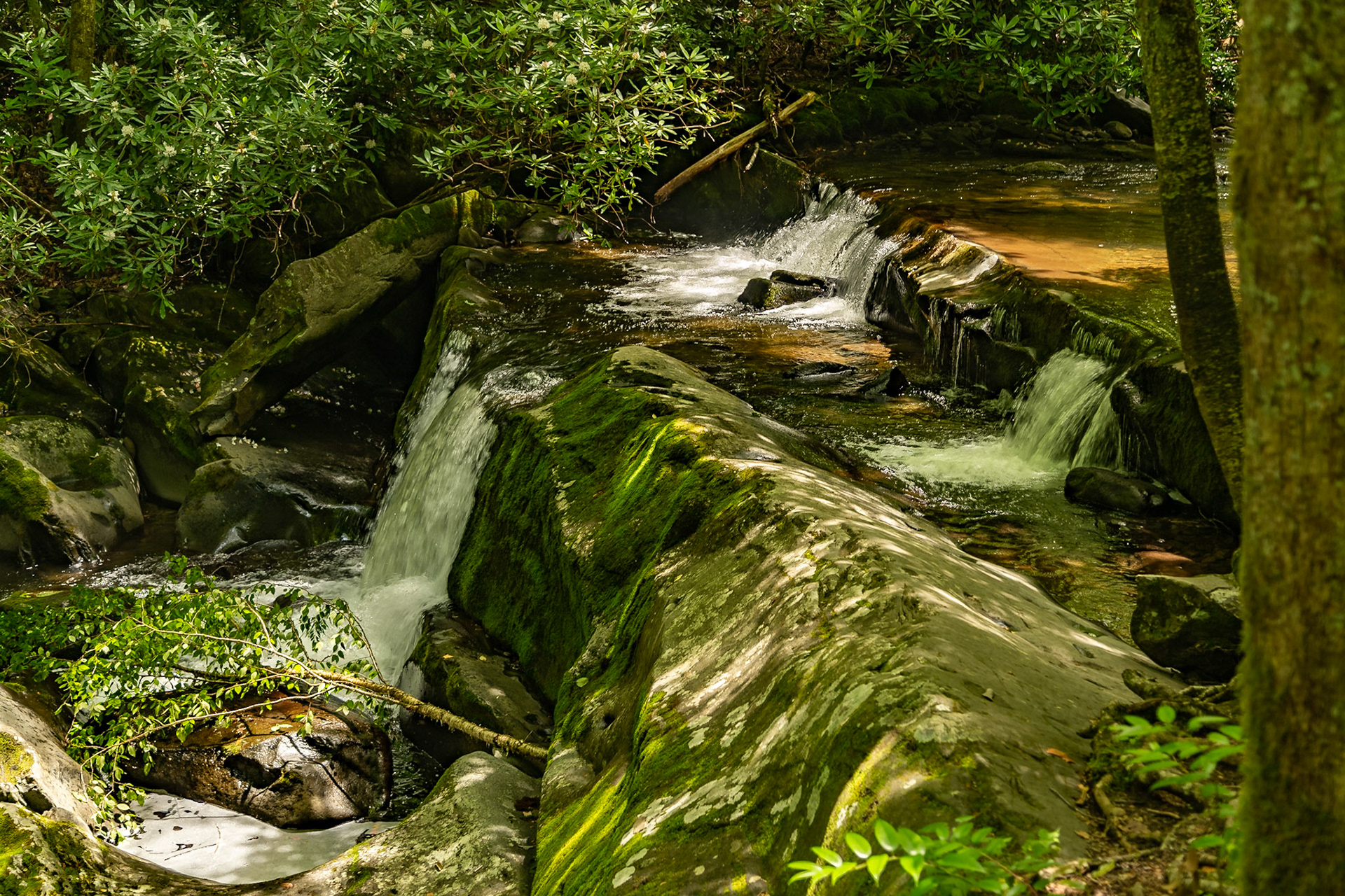 Lynn Camp Prong Cascades