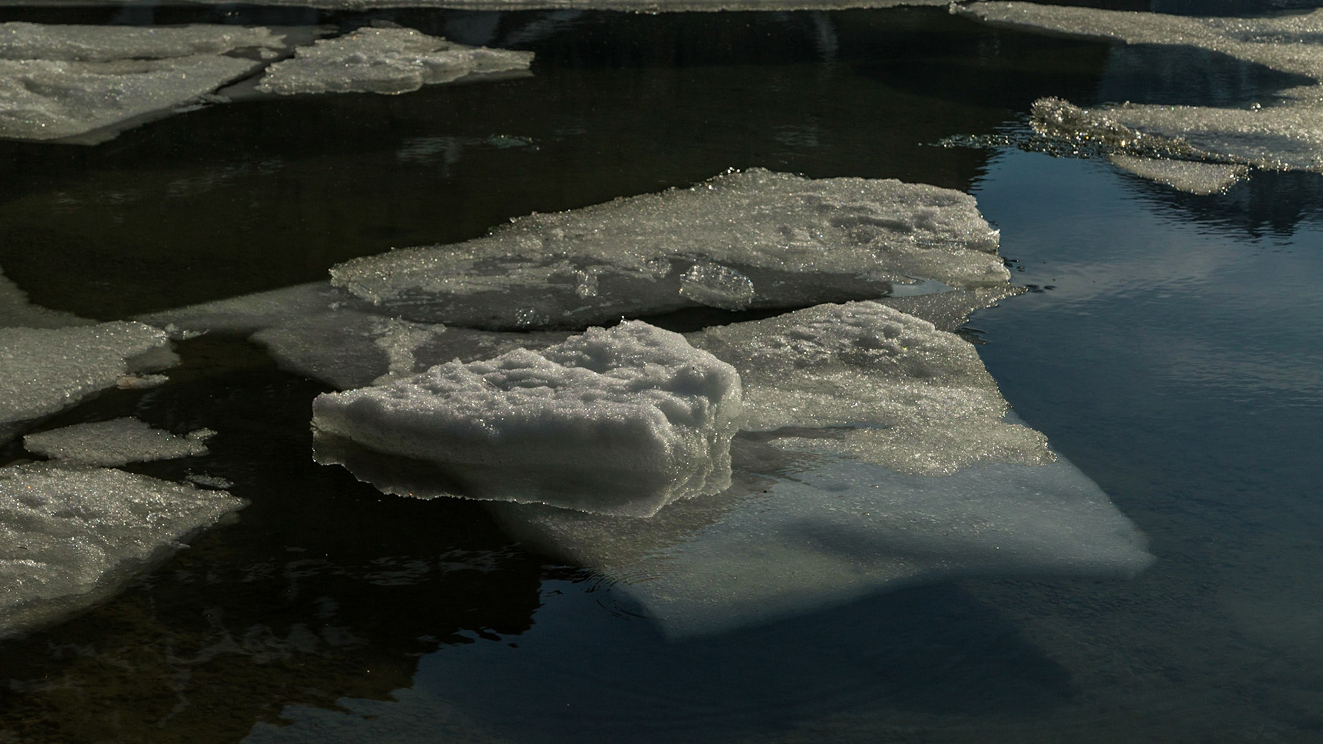 What else can I say?