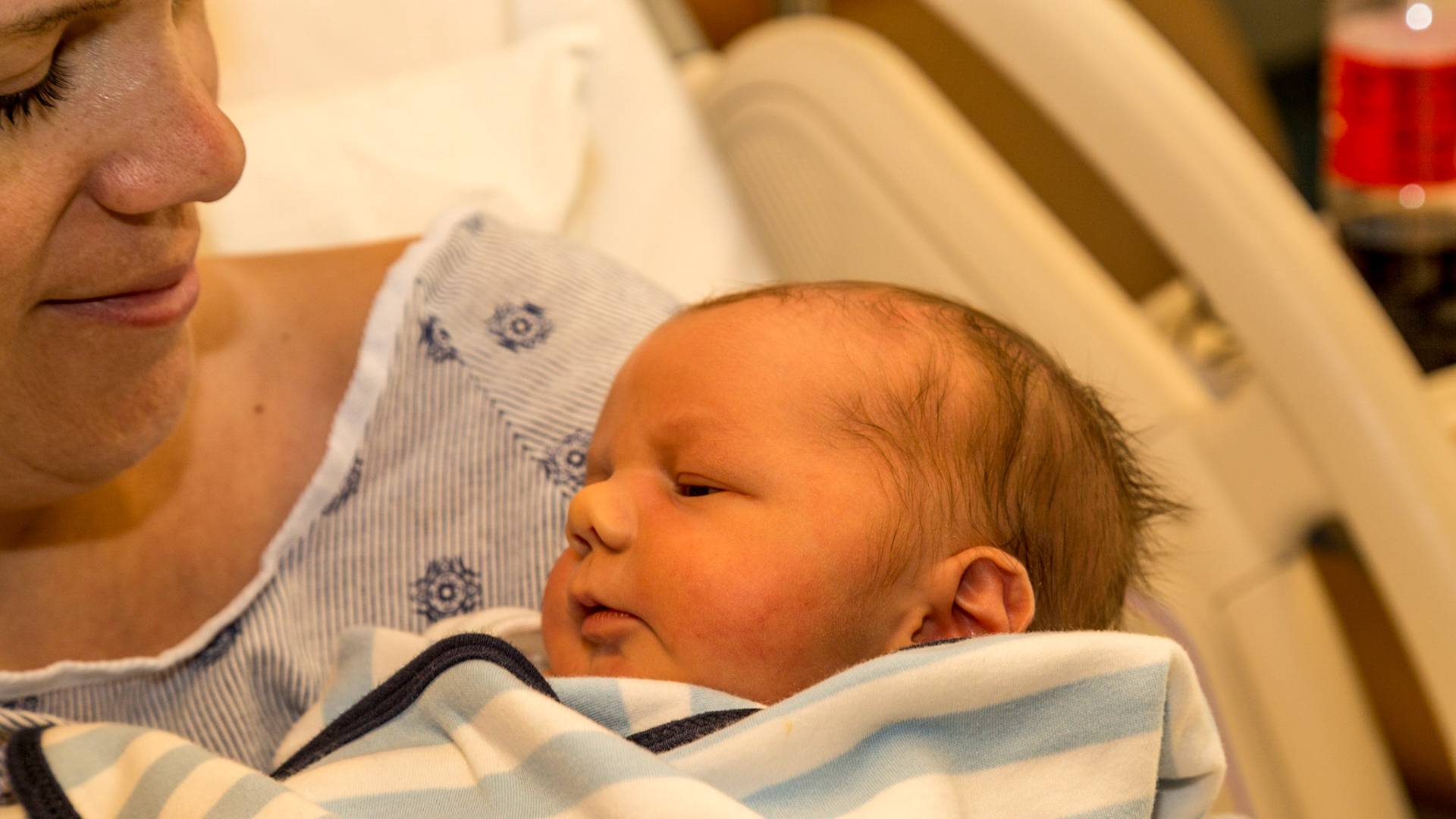 When Lenzie got Knox, I felt like I could see a change in him - like he calmed.