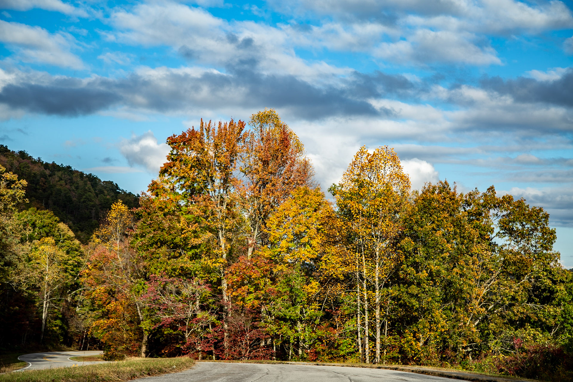 Early Fall Color on Foothills Parkway