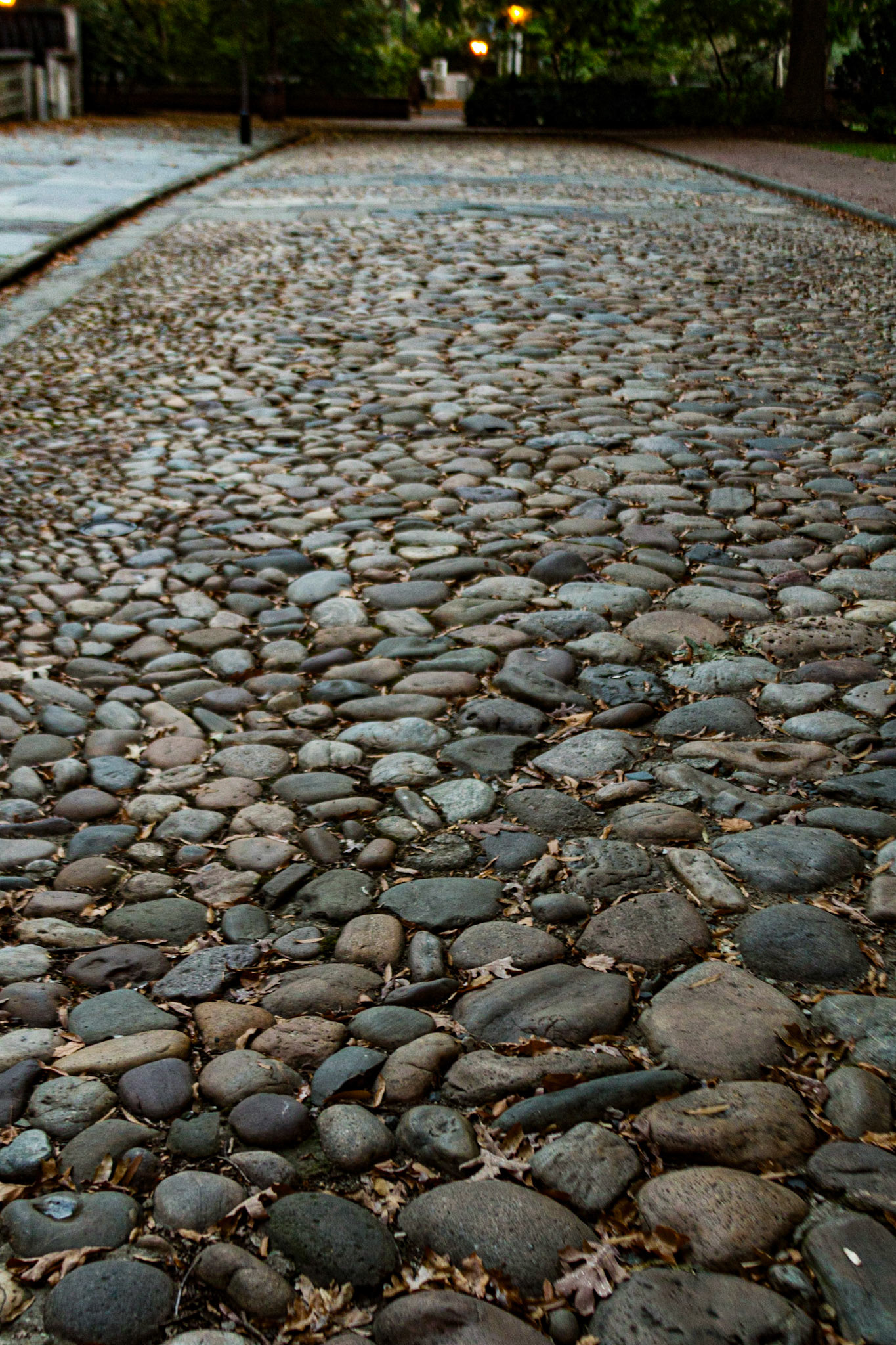 Preserved Cobblestone Street from Colonial Times - Phillidelphia, October 6, 2013, The day before the October 2013 NAPFA Board Meeting, I was in Philadelphia intending to shoot in Valley Forge National Park.  Because of a government shutdown, I spent the day walking the streets in downtown Philadelphia.