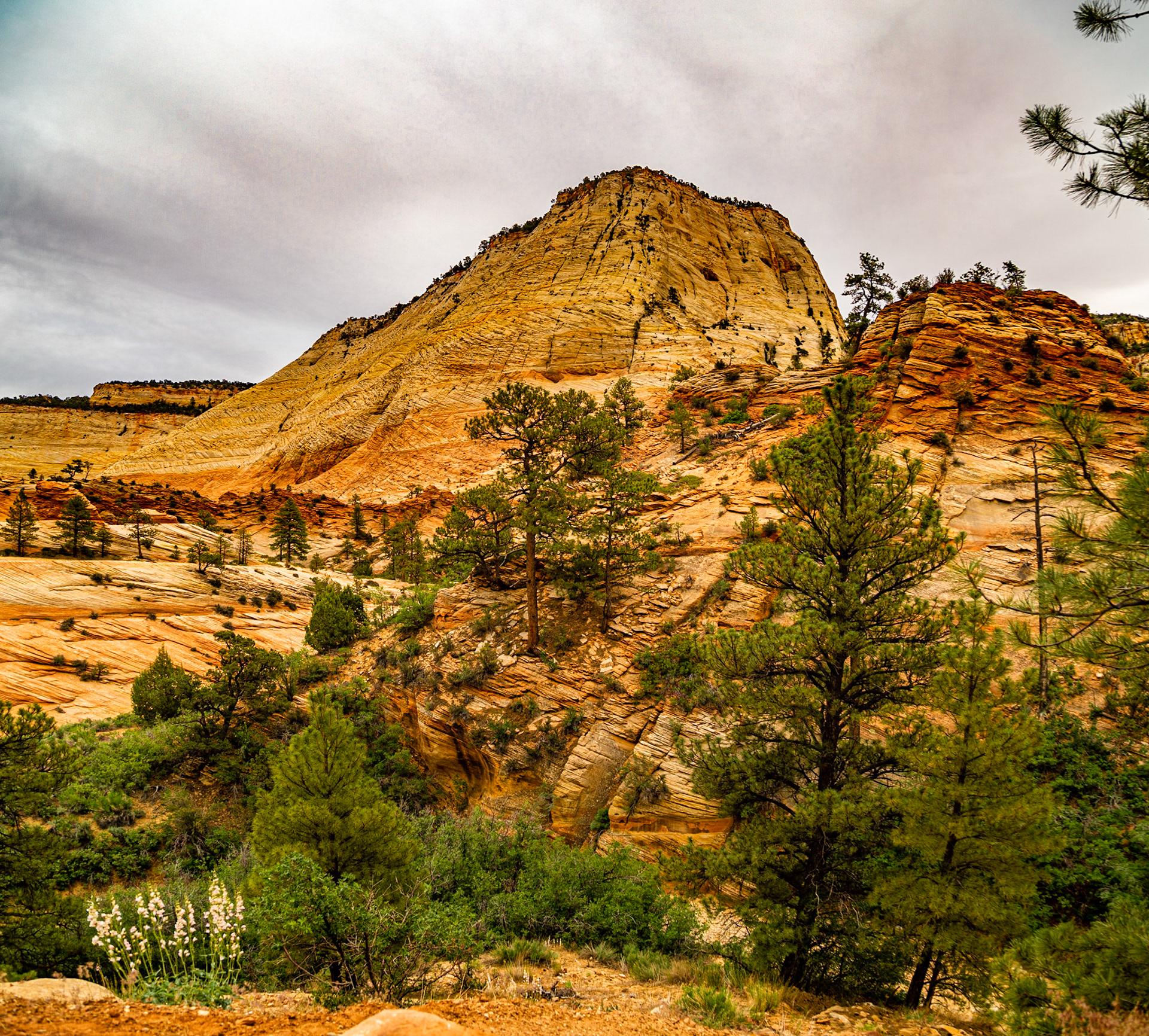 Zion National Park East Entrance Road