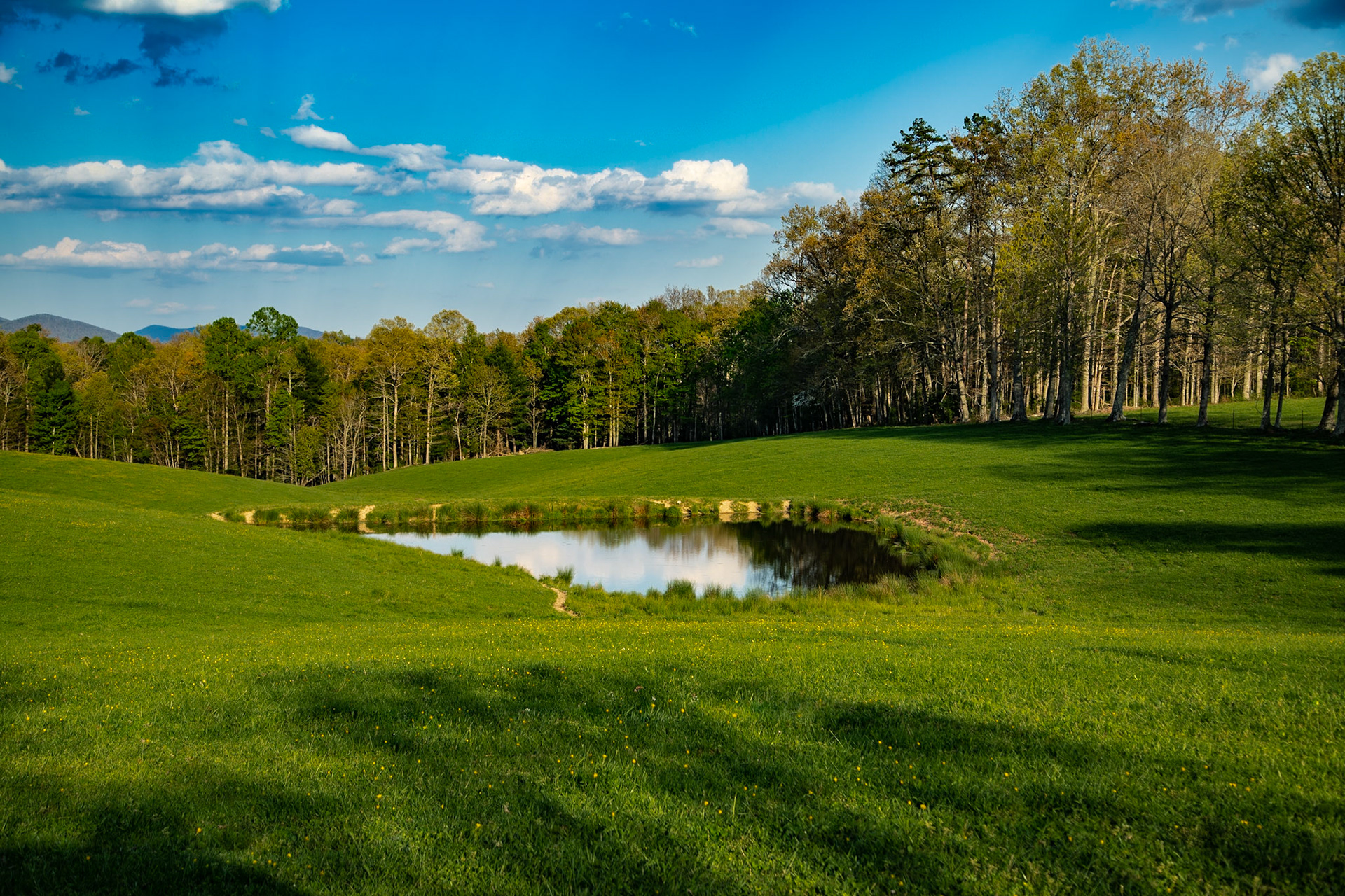 Spring on the Farm in Lancing Tennessee