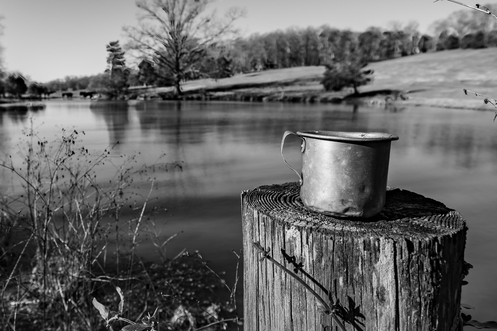 Cup from Grandmother Lewis' Wellhouse