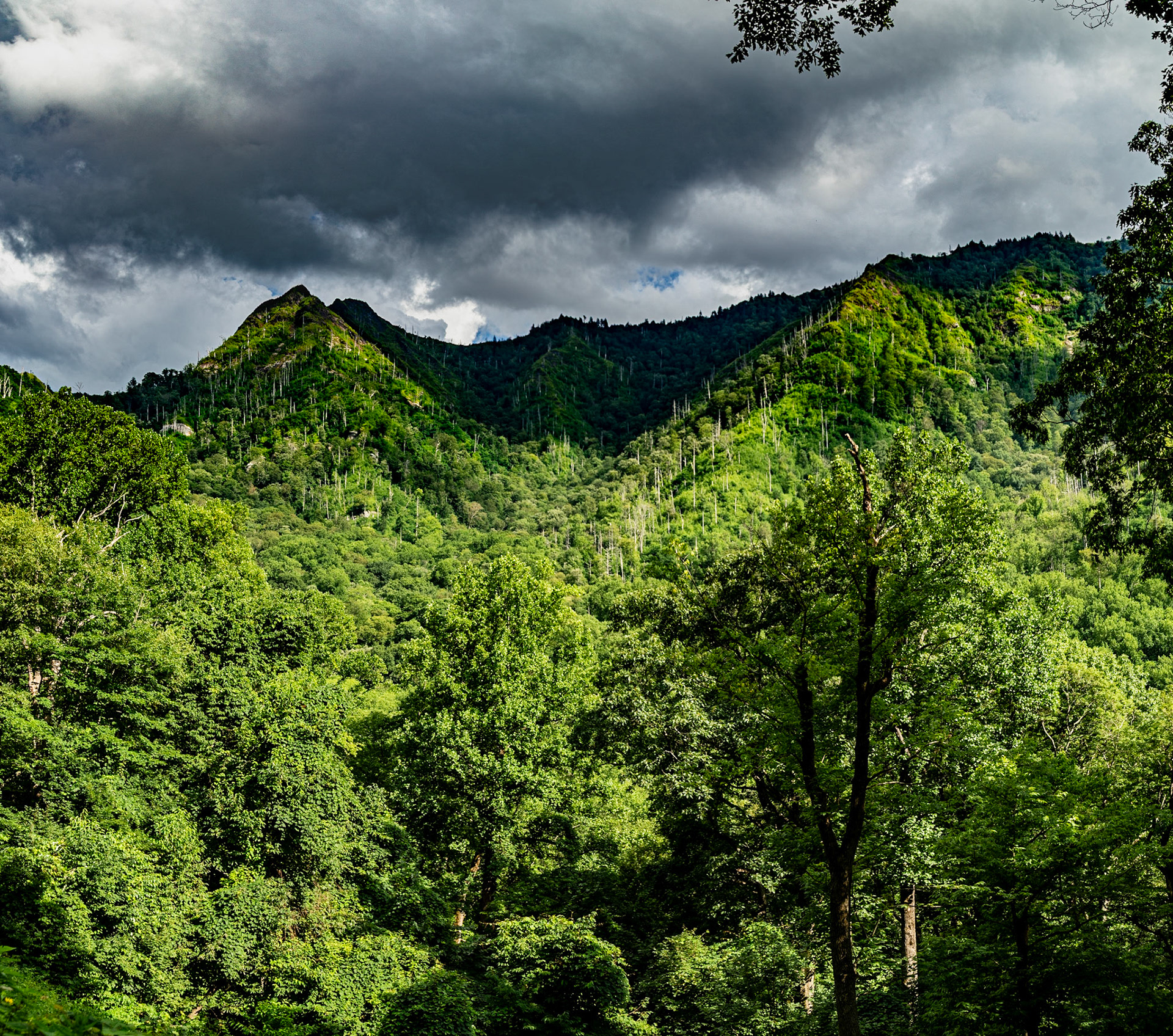 Chimney Tops, Great Smoky Mountains National Park, July 26, 2025