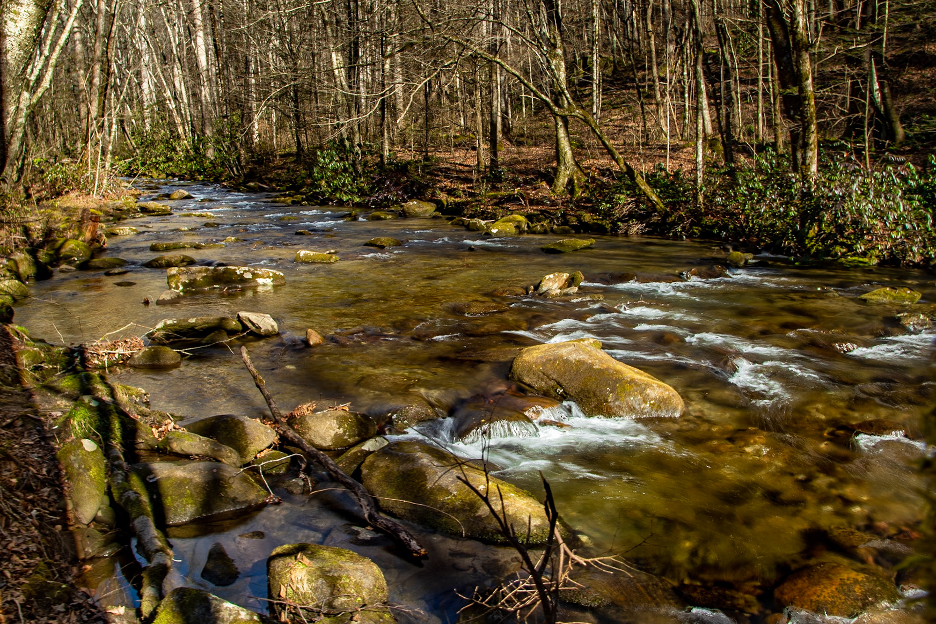 North River Road  35°19'15.7524" N 84°5'23.026" W