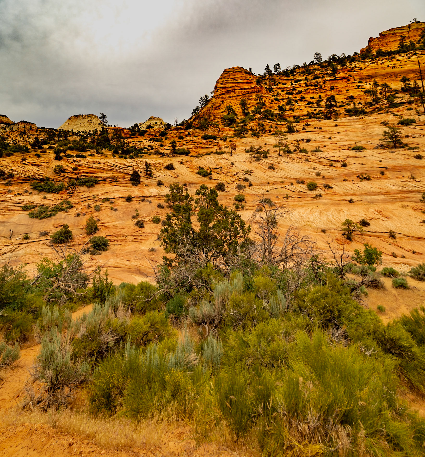 Zion National Park East Entrance Road