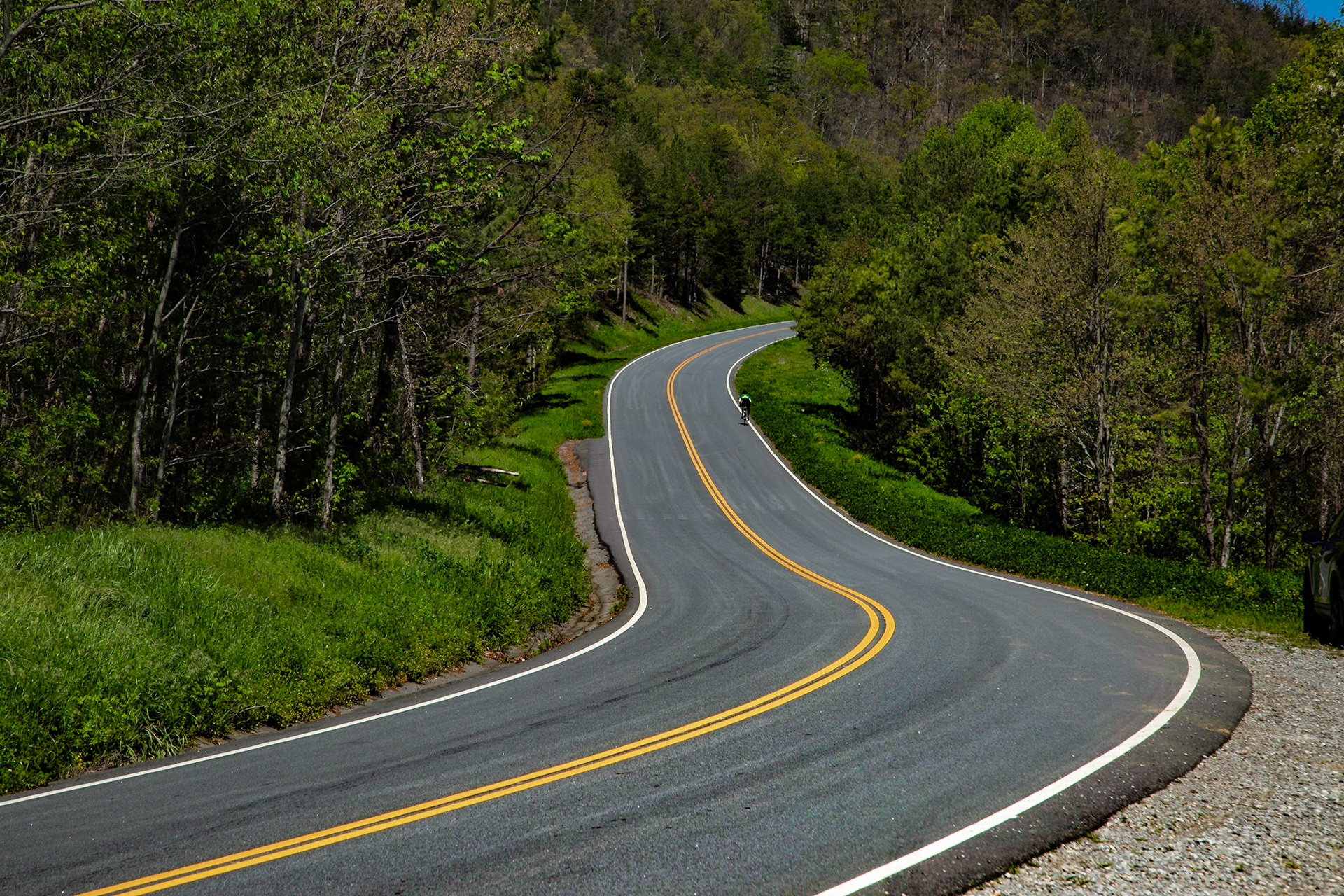 35°42'39.9405" N 83°43'30.0356" W