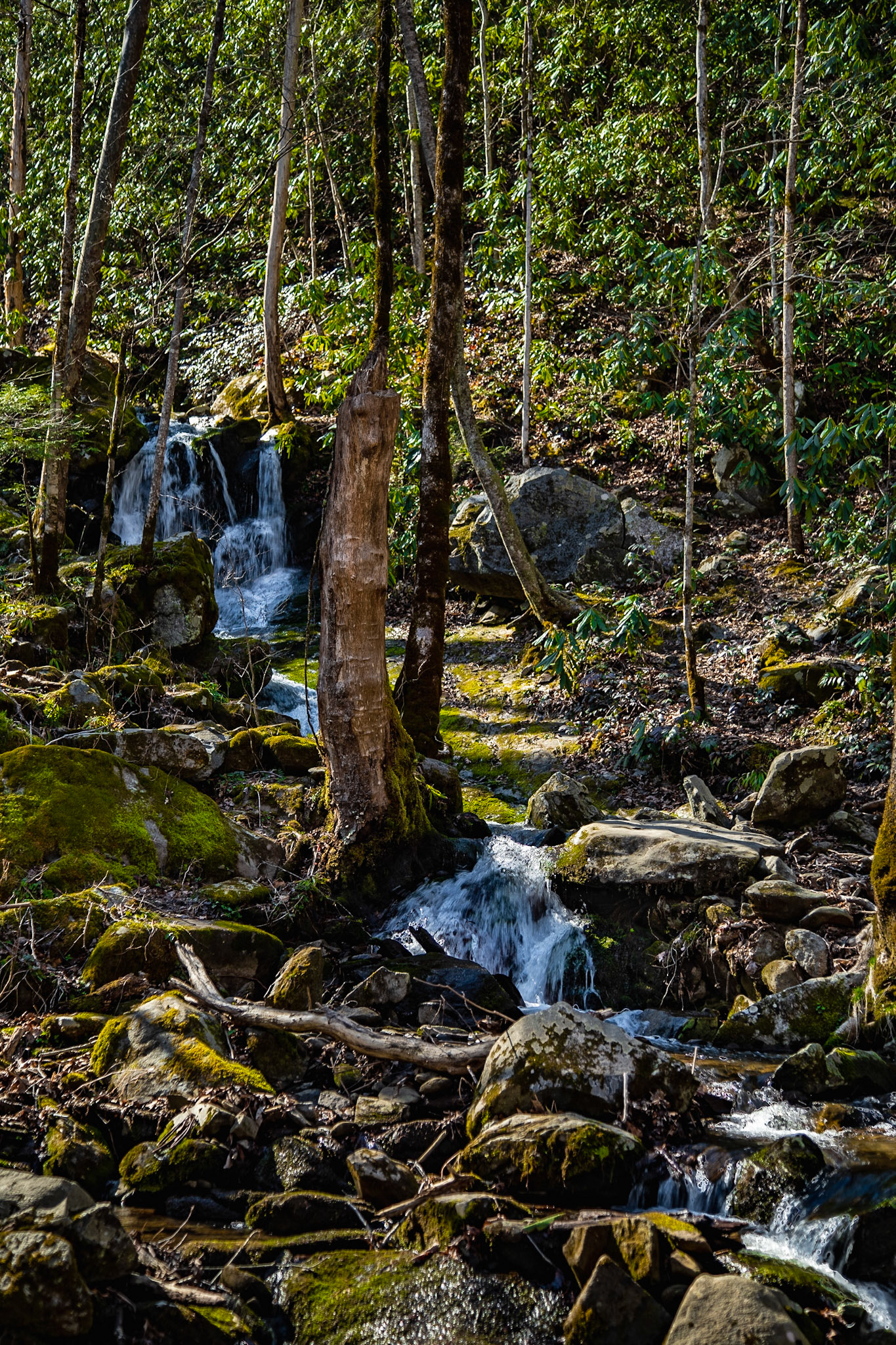 Rain Reveals Streams on Tremont Road