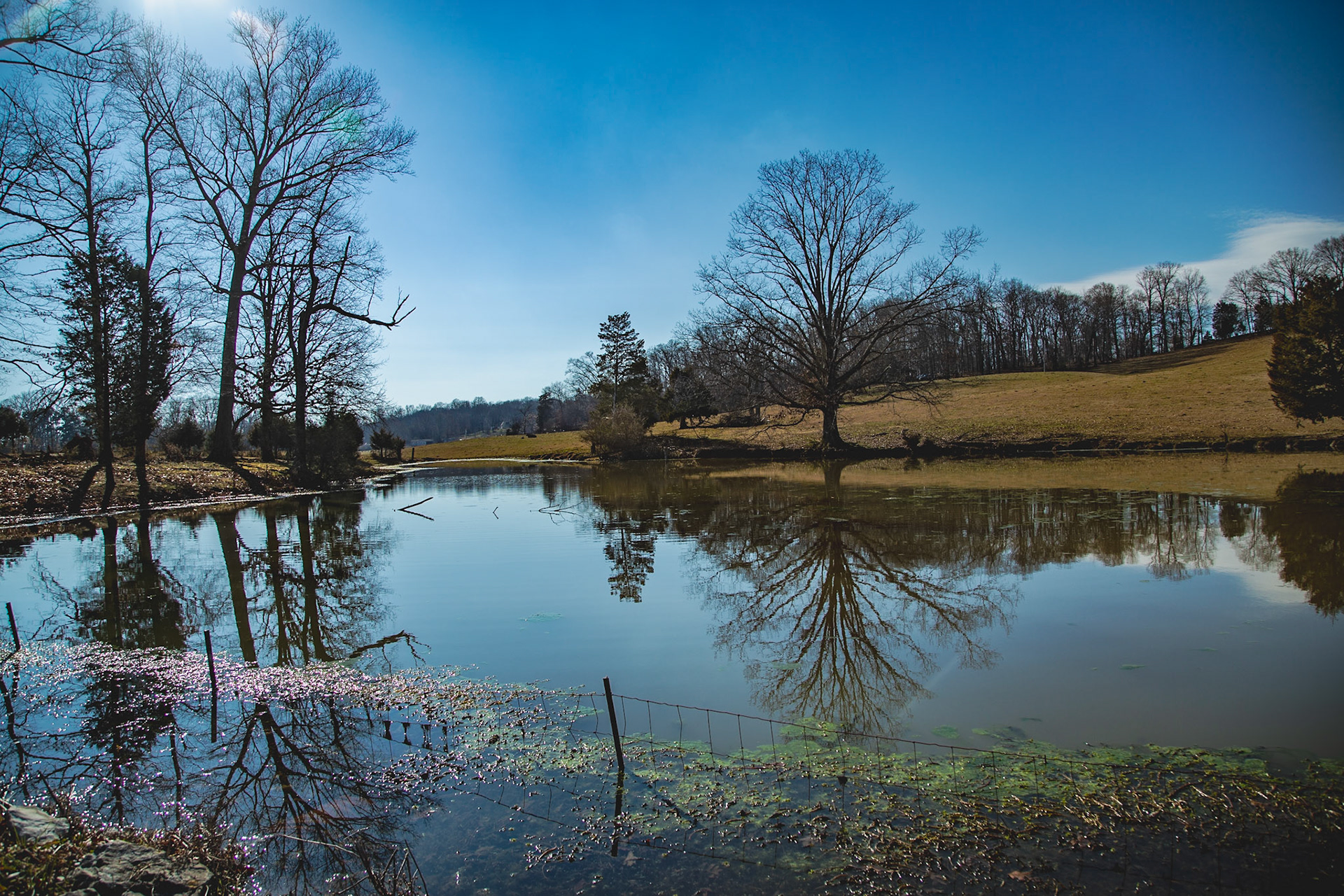 Morton Road, Lenoir City