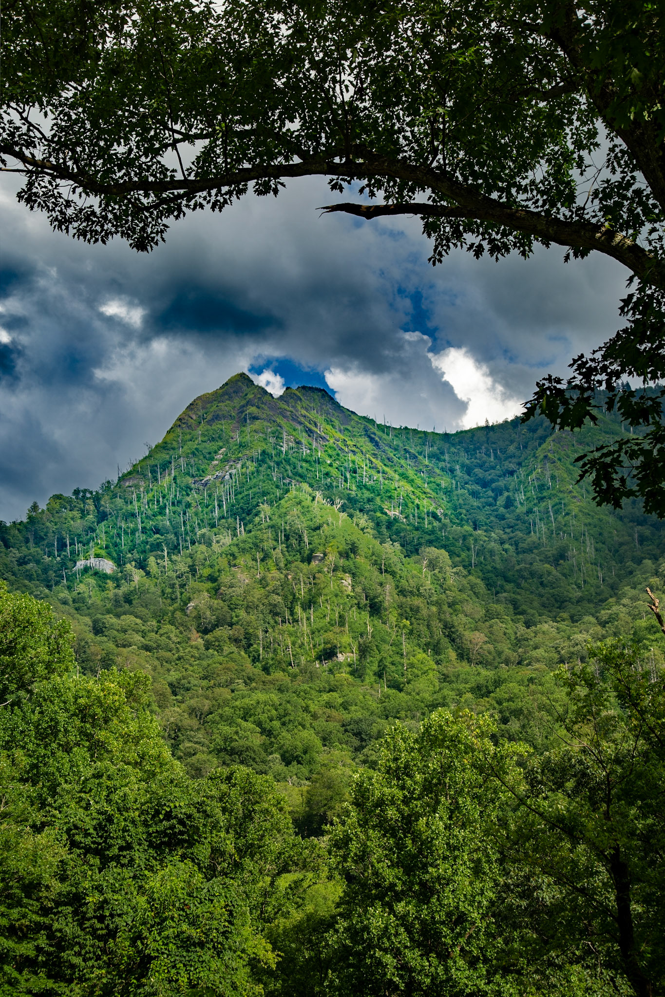 Chimney Tops, Great Smoky Mountains National Park, July 26, 2025