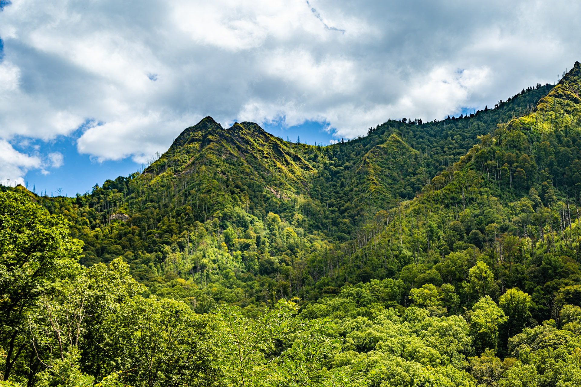 Late Summer Chimney Tops Overlook, September 1, 2022