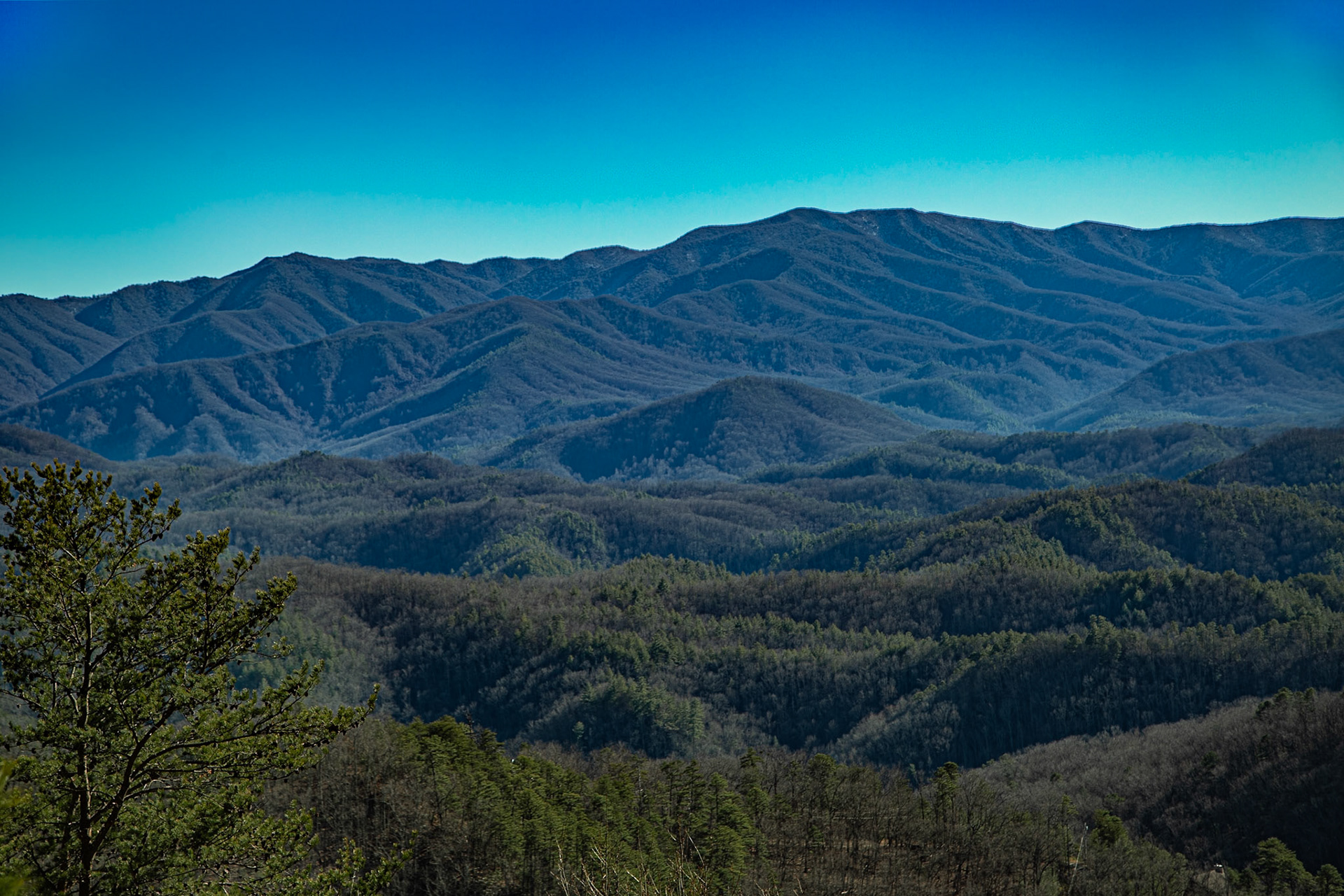 Our Smokies were smoky today. Foothills Parkway, February 25, 2025