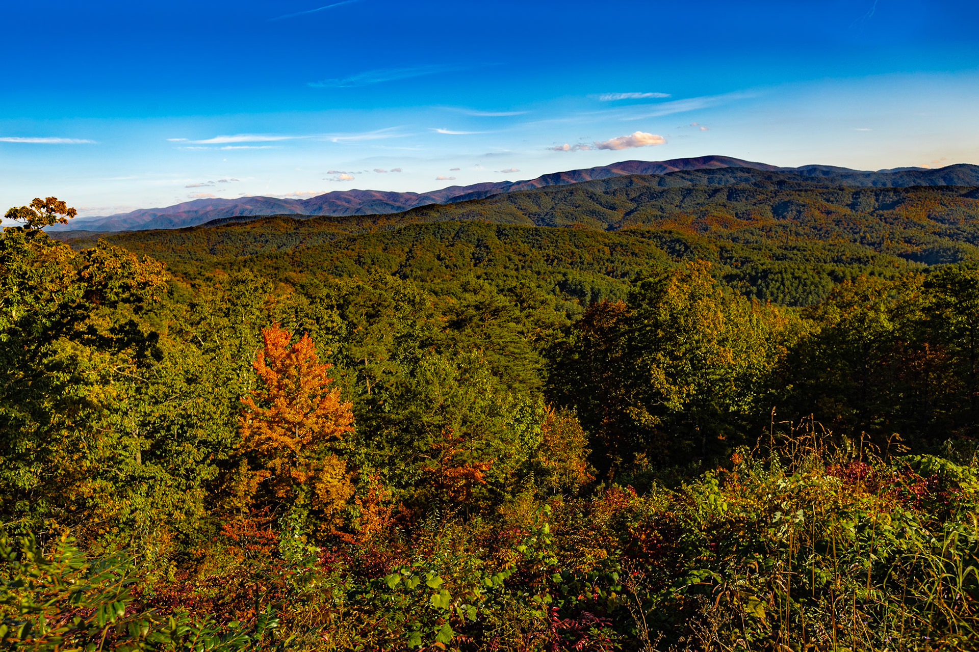 Fall is Coming in the Smoky Mountains, Foothills Parkway