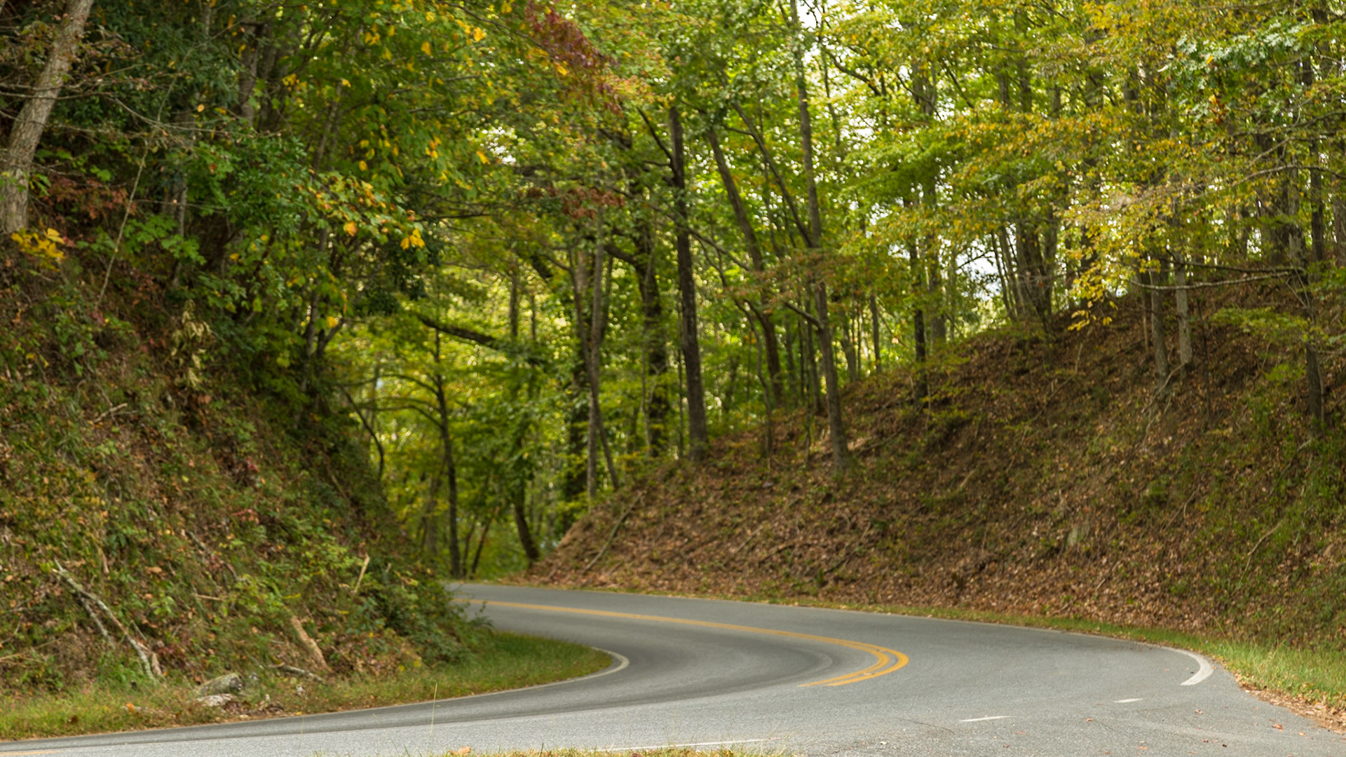 Cable Cove - October 6, 2017 Christie was out of town for her forty-fifth high school class reunion.  I went on a drive for photography, just as fall color started to show.  It was a good day for this kind of trip, with good landscapes and a few vintage cars at First Baptist Church in Farragut, followed by the Cherohala Skyway and Fontana Dam.