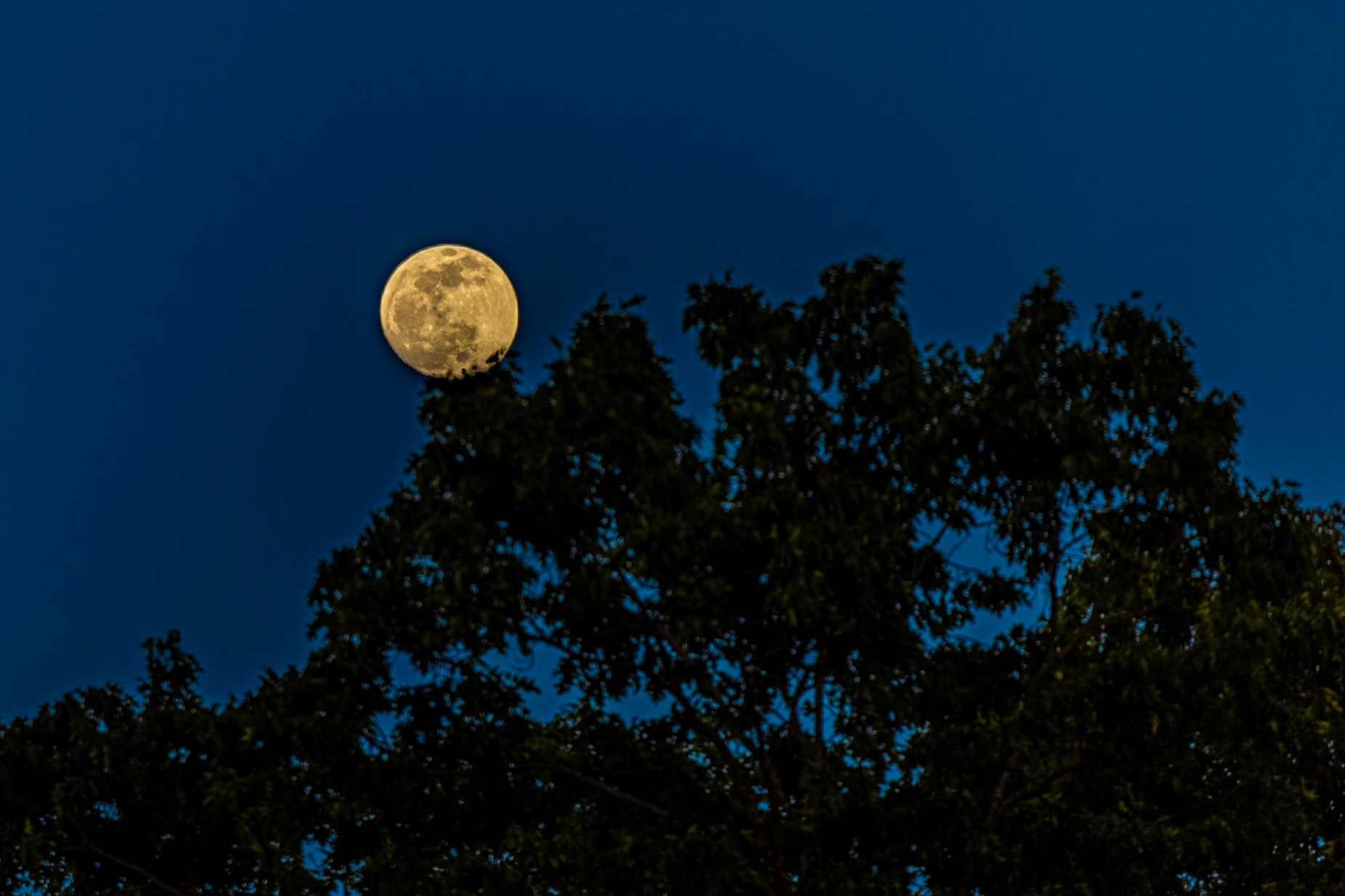 Moonrise from Home, May 3, 2023