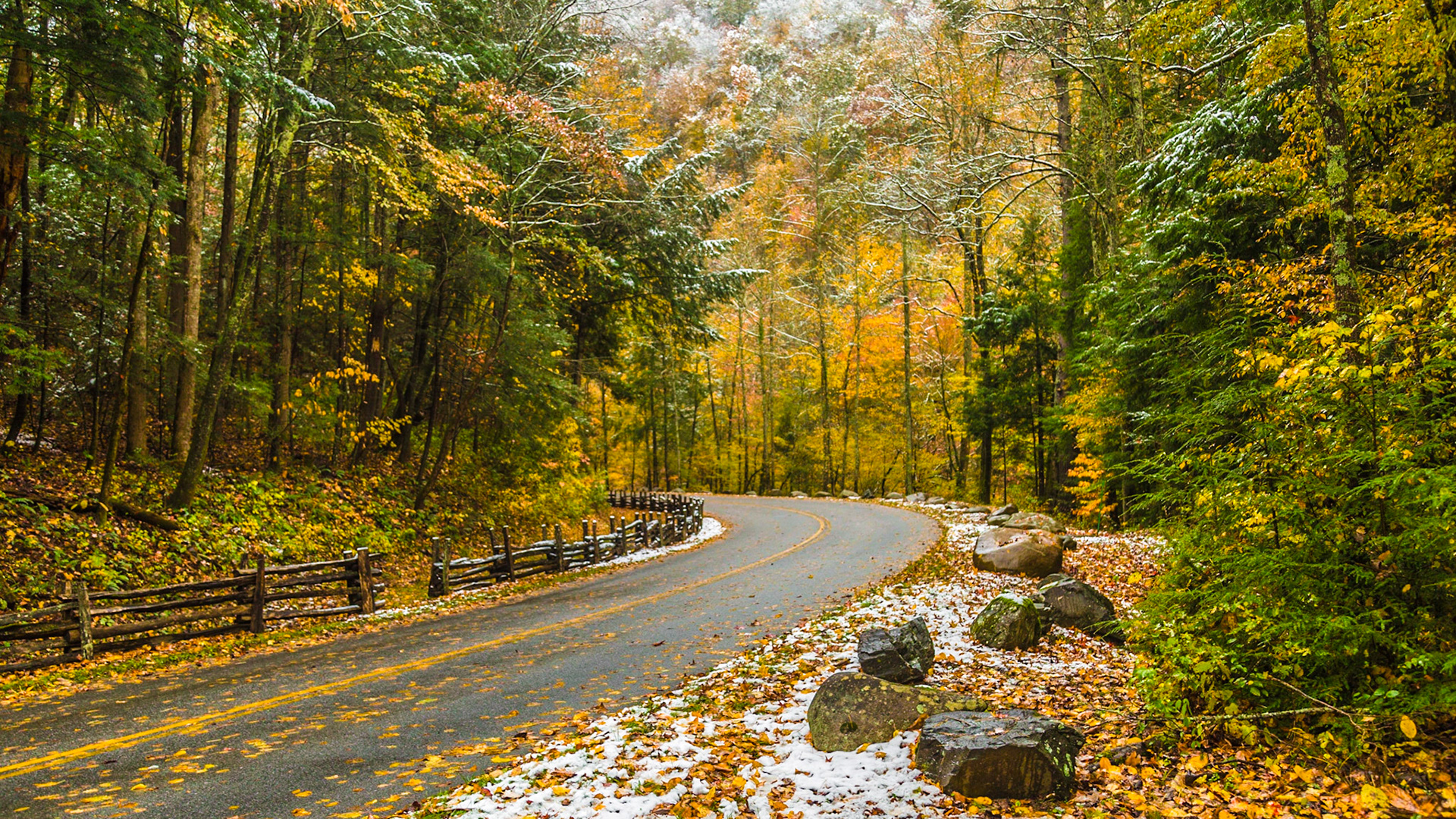 It was the day after Halloween, with considerable snow above 2,500 feet elevation.  Mt. LeConte had 22 inches.  All the Smoky Mountains National Park roads were closed.  We went to Townsend anyway.  The fall color was great.  At Cades Cove Road, it was time to walk for a bit.  Before leaving the area, we took a side trip to Wears Valley Methodist.