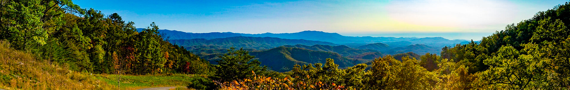The Preserve at English Mountain